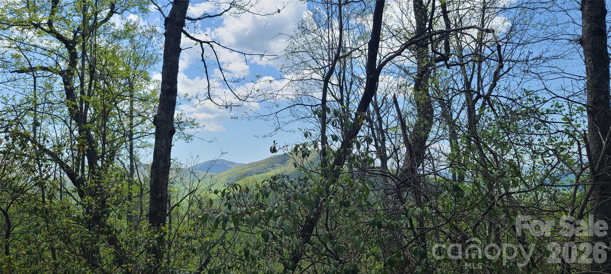High Cliffs At Round Mountain - Land