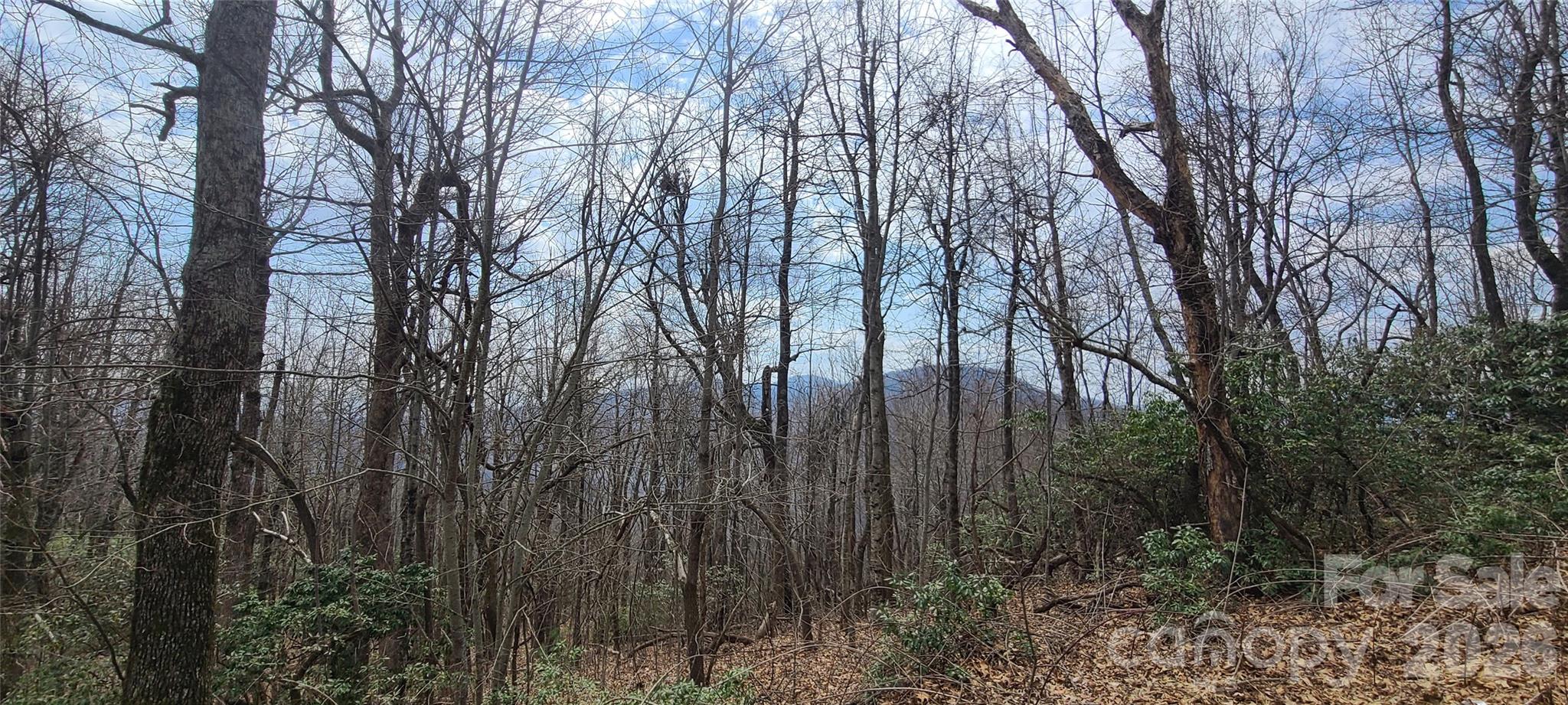 High Cliffs At Round Mountain - Land