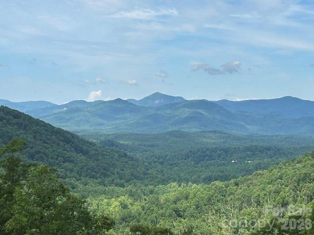 Pinnacle Ridge - Residential
