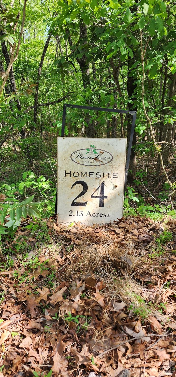 Mountain Laurel Estates - Land