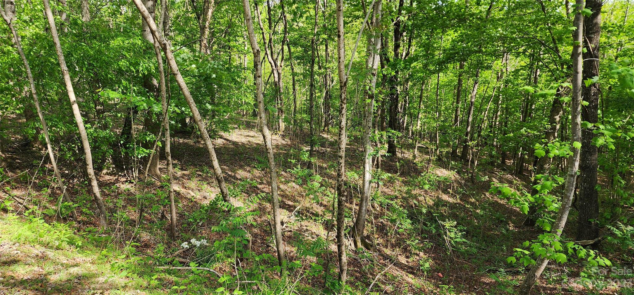 Mountain Laurel Estates - Land