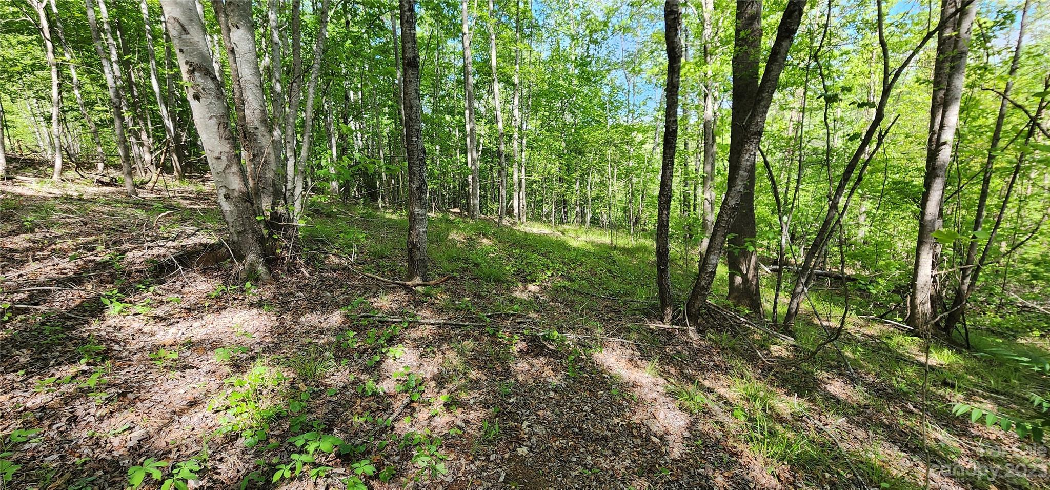 Welcome to Mountain Laurel Estates!  - A Private, Gated community in Mill Spring/  the "Sunnyview" area of Polk County!  The neighborhood is located just a short drive from Lake Lure & Chimney Rock; and a stones throw from TIEC - the new Equestrian Center of Tryon!   Lot 24 is mostly wooded with a gentle slope down towards a creek.  Several home sites to choose from - either close to the road, or down in the woods. Asheville & Greenville are approx 45 mins away;  Charlotte is approx 90 mins away.Property has underground power available.  Buyer will need to install Well & septic.  Adjacent Lot 23 is also for sale - buy both and have an extra large lot, or maybe you know someone who would make a great neighbor?!  HOA dues cover private road maintenance & the security gate ($300/ yr).