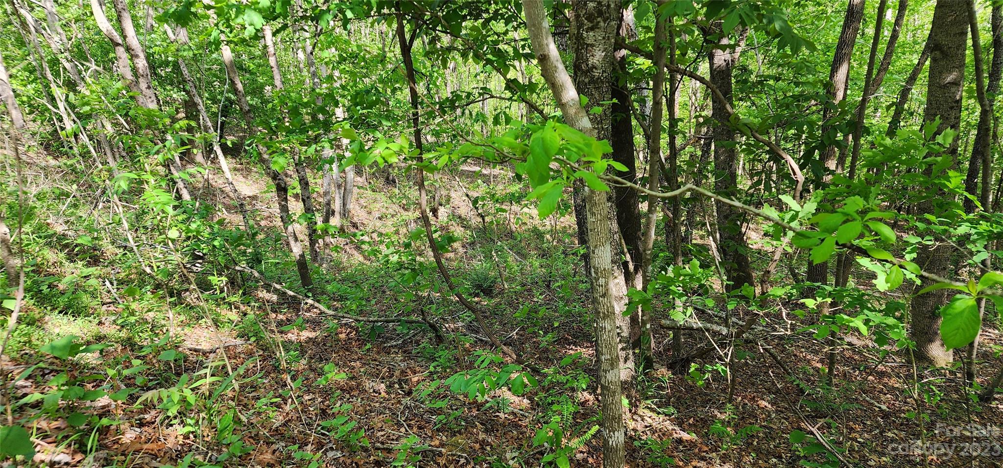 Mountain Laurel Estates - Land