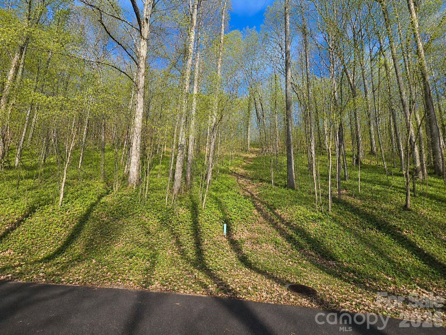 Drive through the covered bridge on your way to the gatedneighborhood with paved roads, city sewer and underground utilities. This 0.82-acrehomesite offers a wonderful balance of privacy, convenience, and mountaincharm. Situated at approximately 3,400 feet in elevation, the property enjoyscool mountain air, peaceful surroundings, and beautiful year-round views withan east-facing sunrise exposure. Wildlife is often seen and heard right outsideyour window, adding to the natural setting. This lot has dual access fromMountain Watch Drive and Casey's Corner Drive. With low-density development anda variety of well-built homes, the neighborhood offers a quiet and invitingatmosphere for either a full-time residence or mountain retreat. Design yourdream home while enjoying the serenity and scenic mountain backdrop. HOA fee is$600 per year. Conveniently located just 5 minutes to I-40 and Maggie Valley,15 minutes to Waynesville, and approximately 30 minutes to Asheville orCherokee, the property combines easy access with a tucked-away mountainsetting.