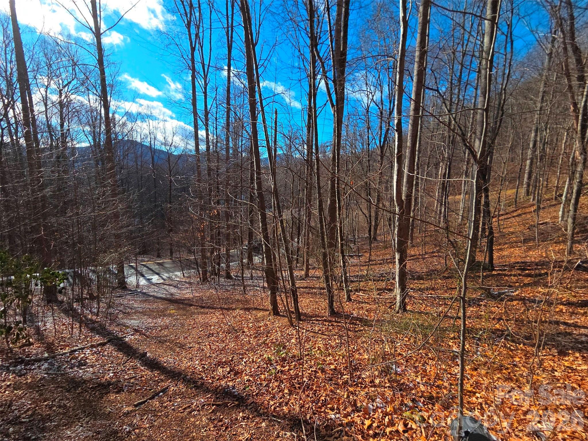 Mountain Watch - Land