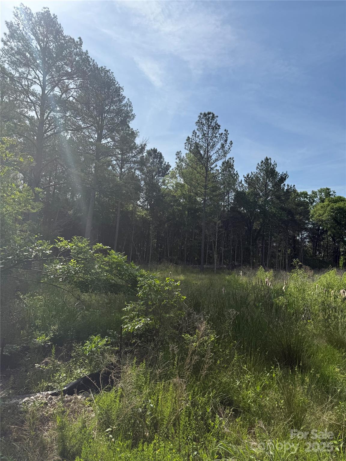 Cedarbrook - Land