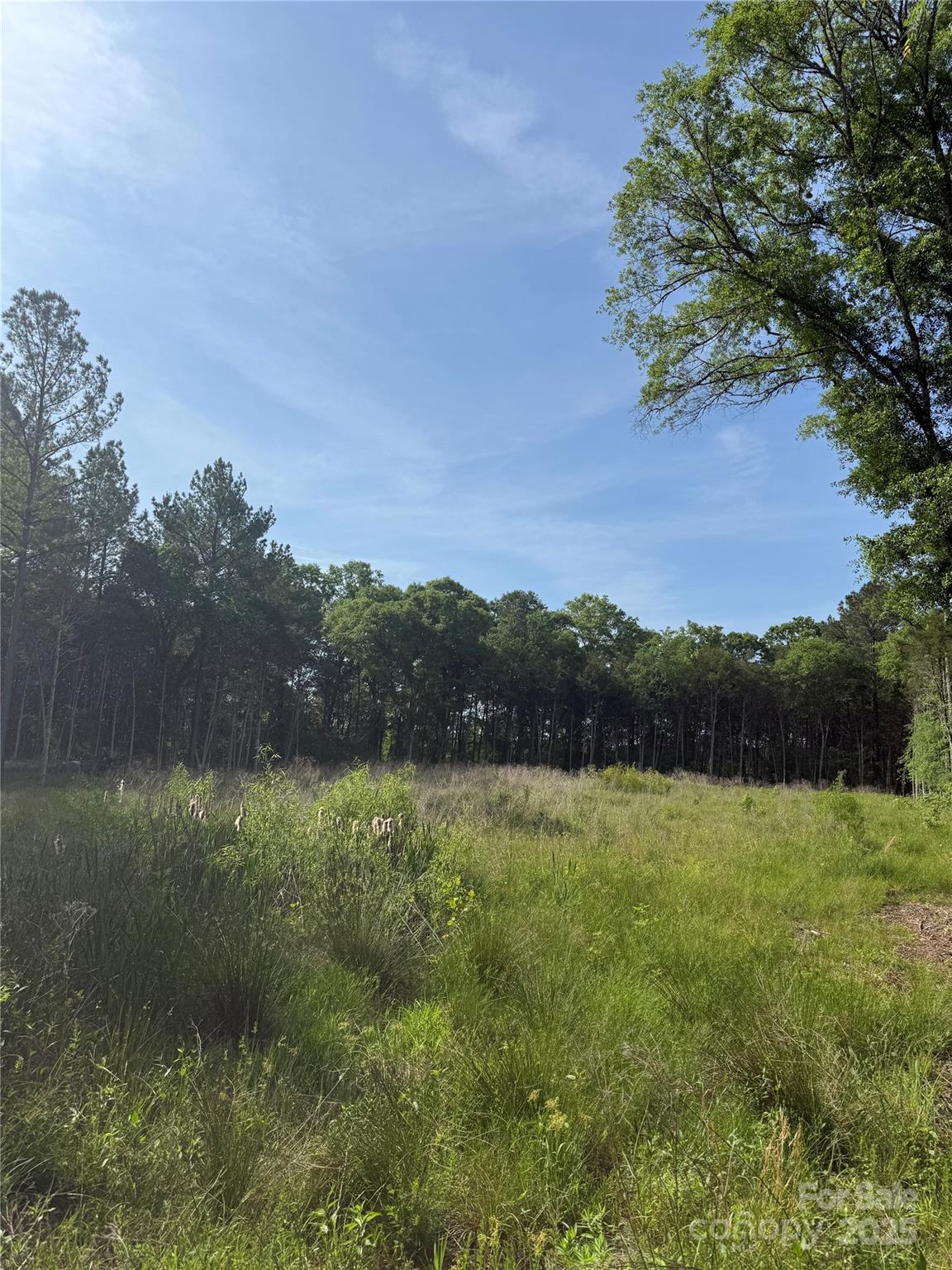 Cedarbrook - Land