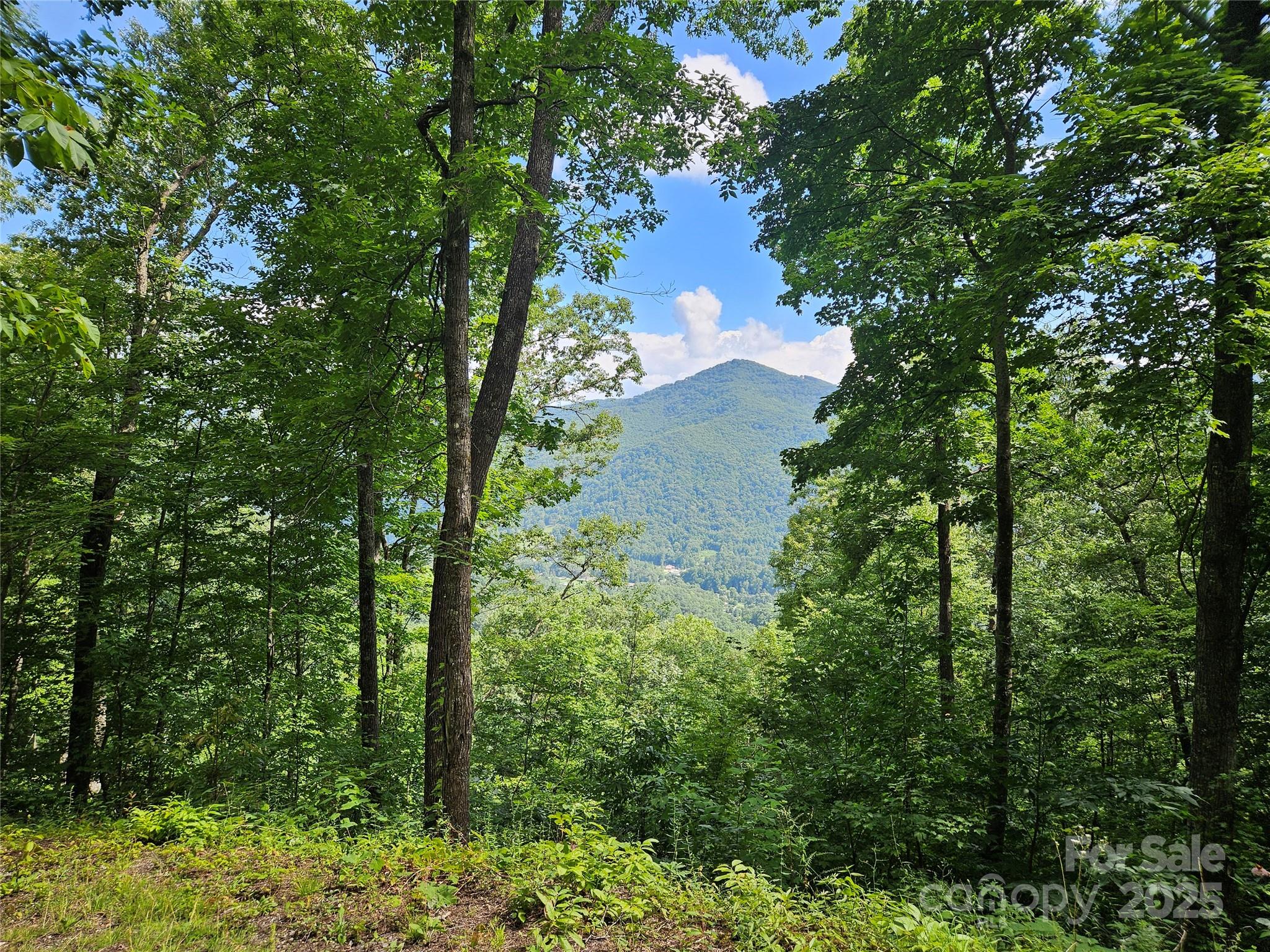 Escape to the mountains! Perched above Maggie Valley Country Club in the private and gated community of Boulder Ridge, this beautiful 1.68-acre lot offers stunning year-round, long-range mountain views. With paved access all the way to the property, underground power in place, and an expired septic permit available, much of the groundwork is started, making your construction project that much simpler. While the property's southern exposure guarantees plenty of warm sunlight, it's elevation offers cooling relief on the hottest of summer days. A small natural spring on the property adds a peaceful touch and the potential for a custom water feature. This serene setting is ideal for your dream mountain home, just minutes from the shops, dining, and outdoor adventures of Maggie Valley or Waynesville. Owner financing available with acceptable offer, call today for your private showing!