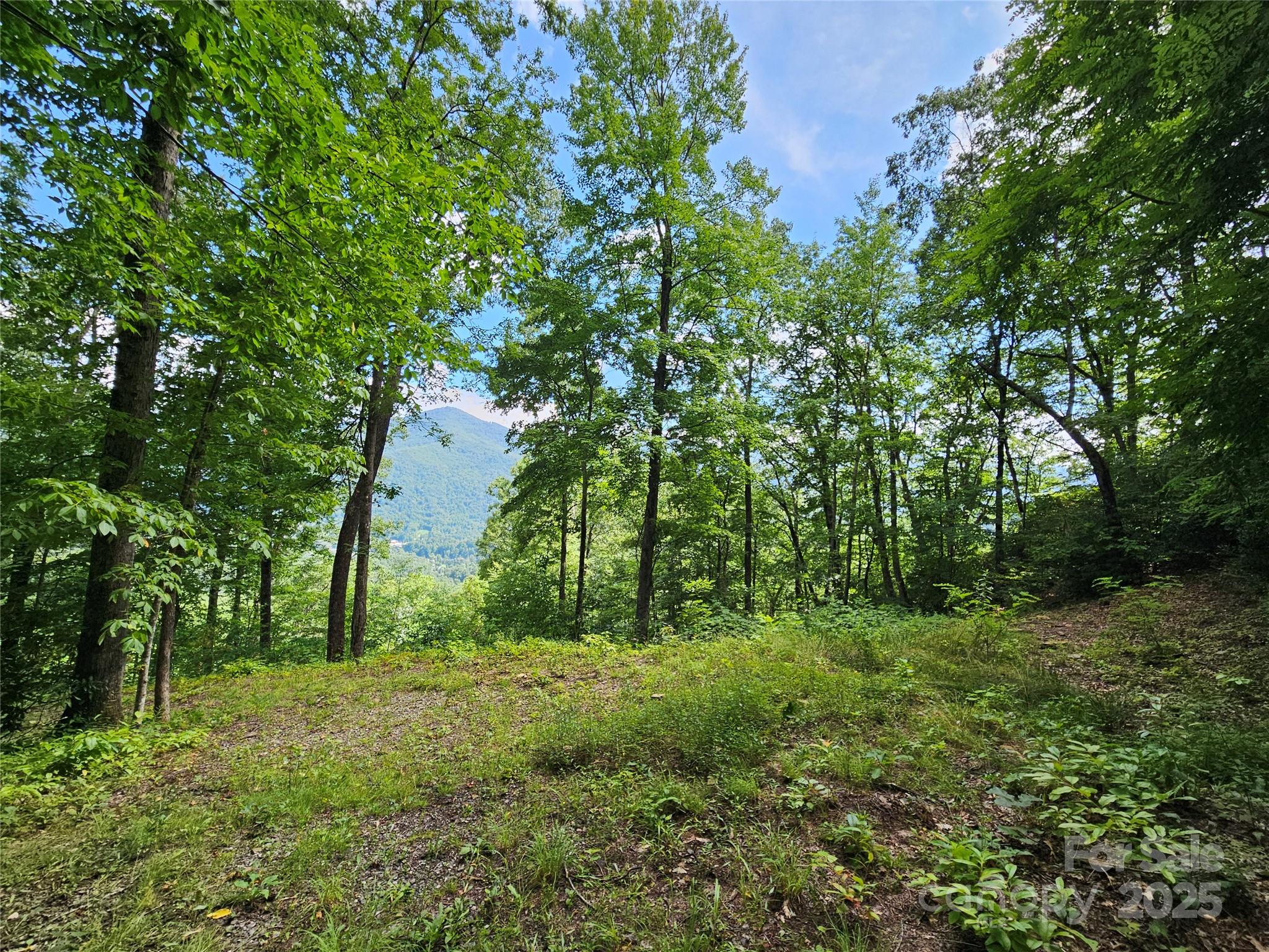 Boulder Ridge - Land