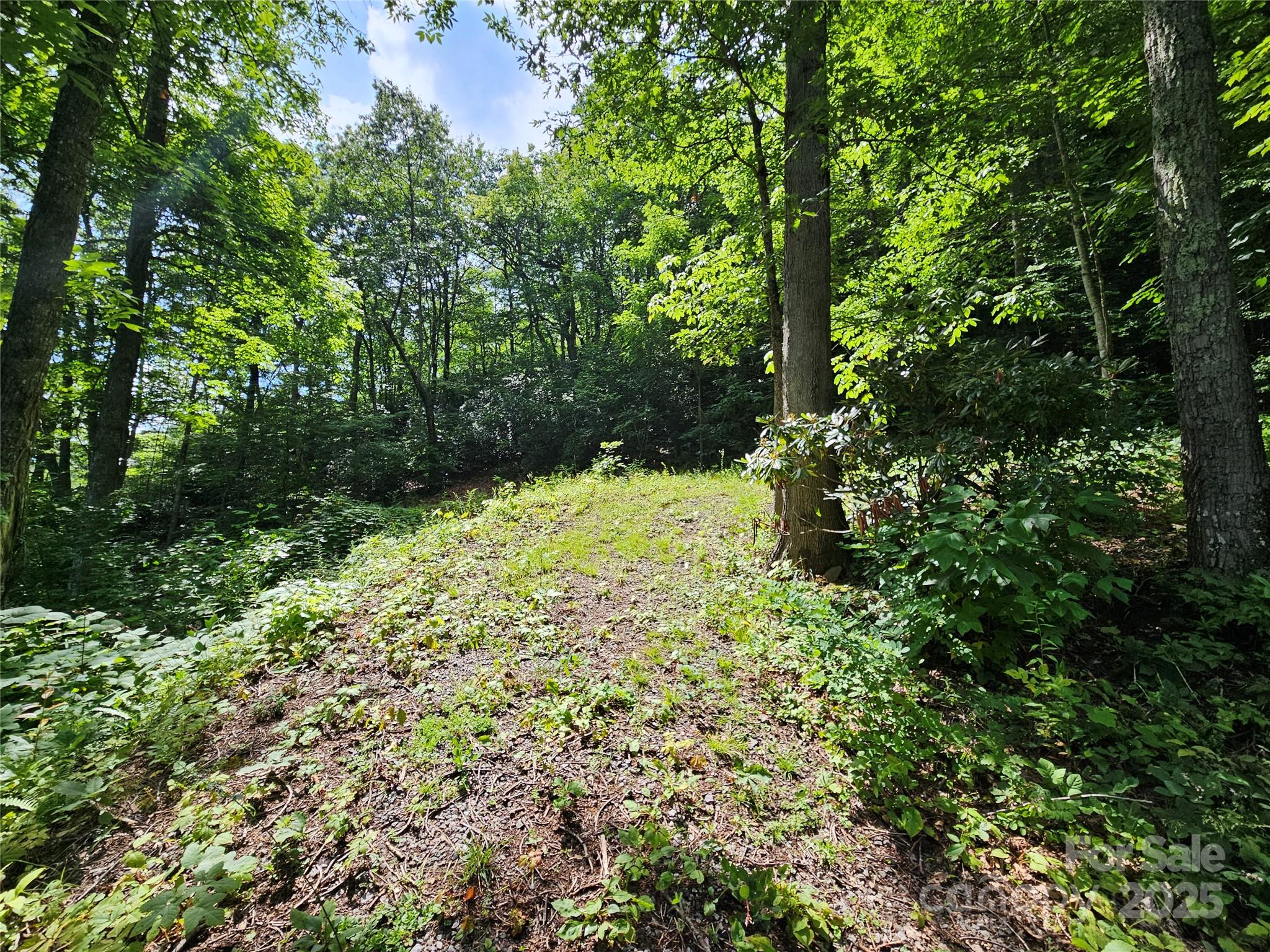 Boulder Ridge - Land