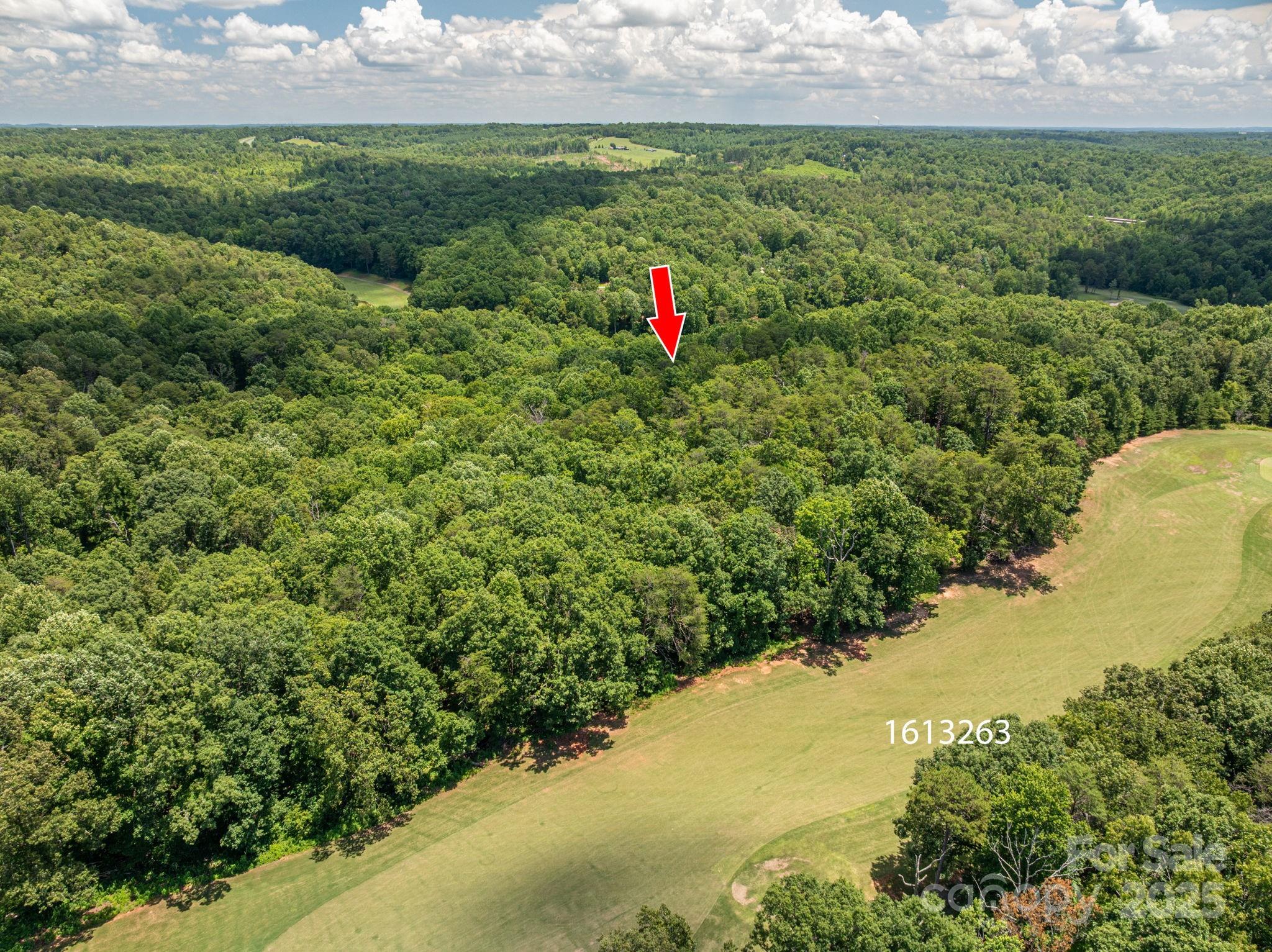 Cleghorn Plantation - Land