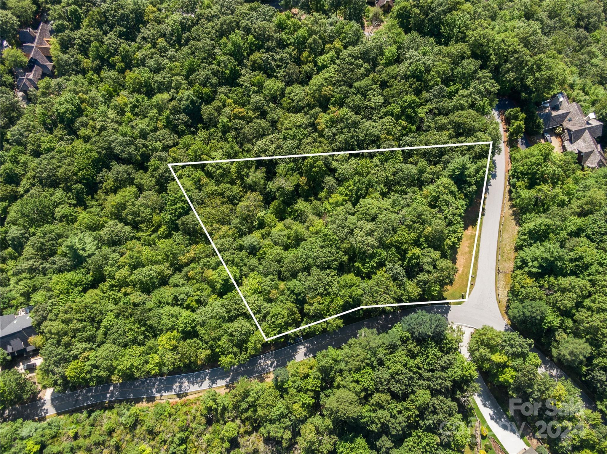 Lake Toxaway Estates - Land