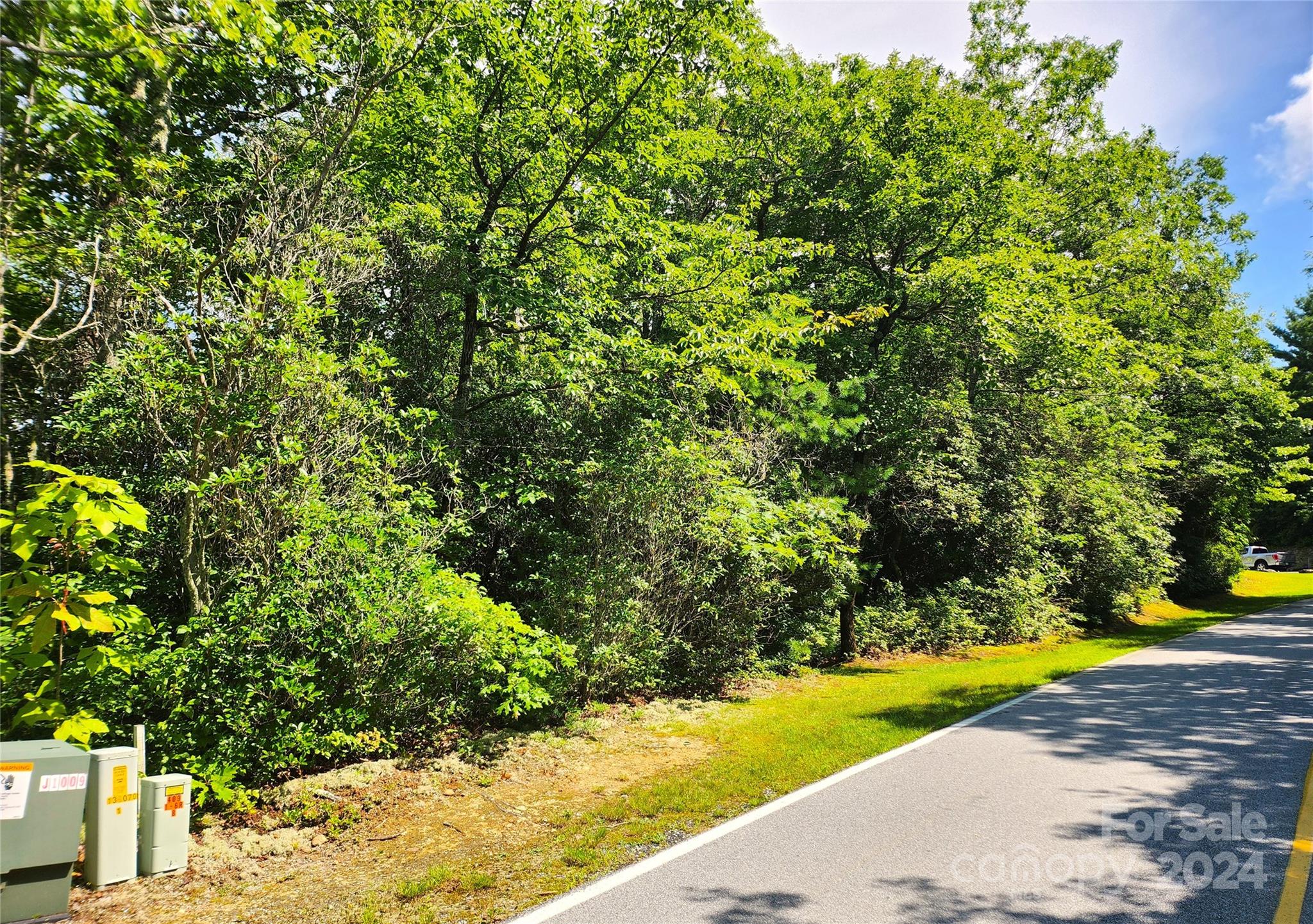 Lake Toxaway Estates - Land