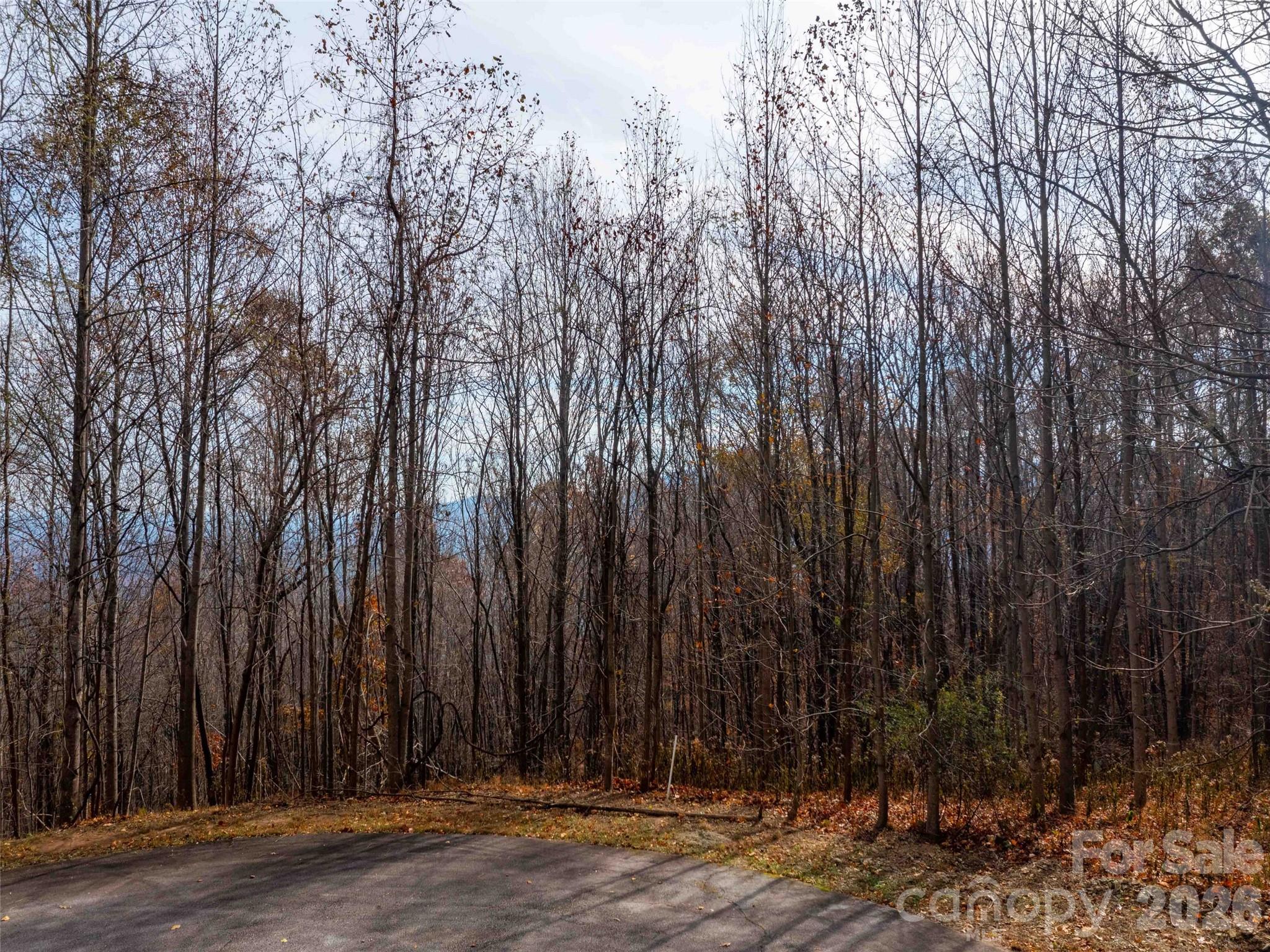 Brights Creek - Land