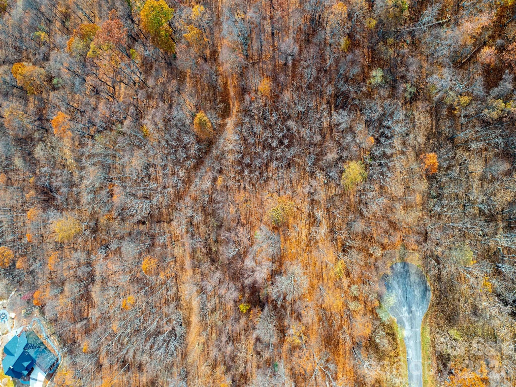 Brights Creek - Land