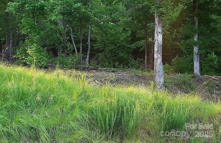 The Peninsula at Lake James - Land
