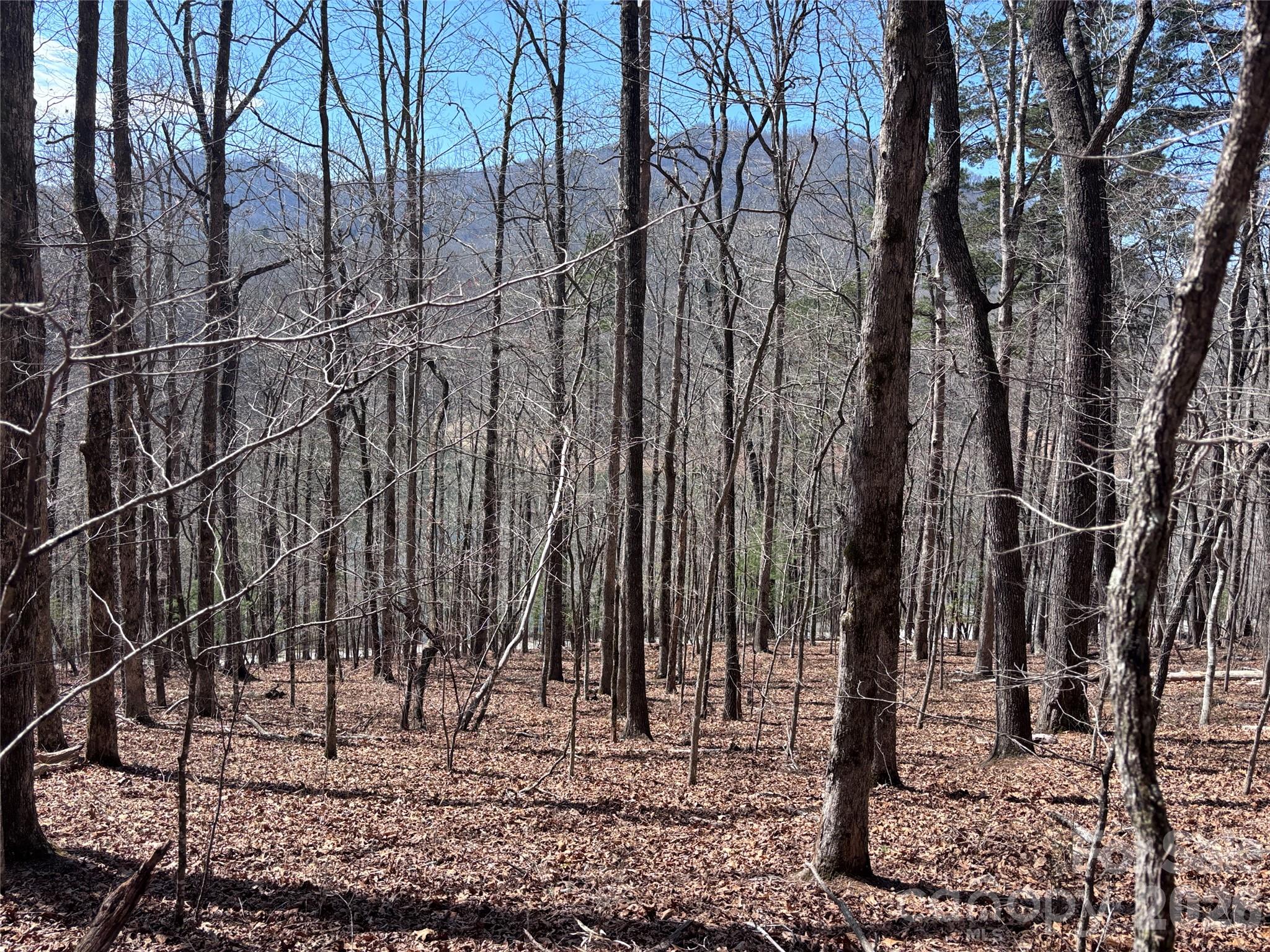 Fontana Lake Estates - Land