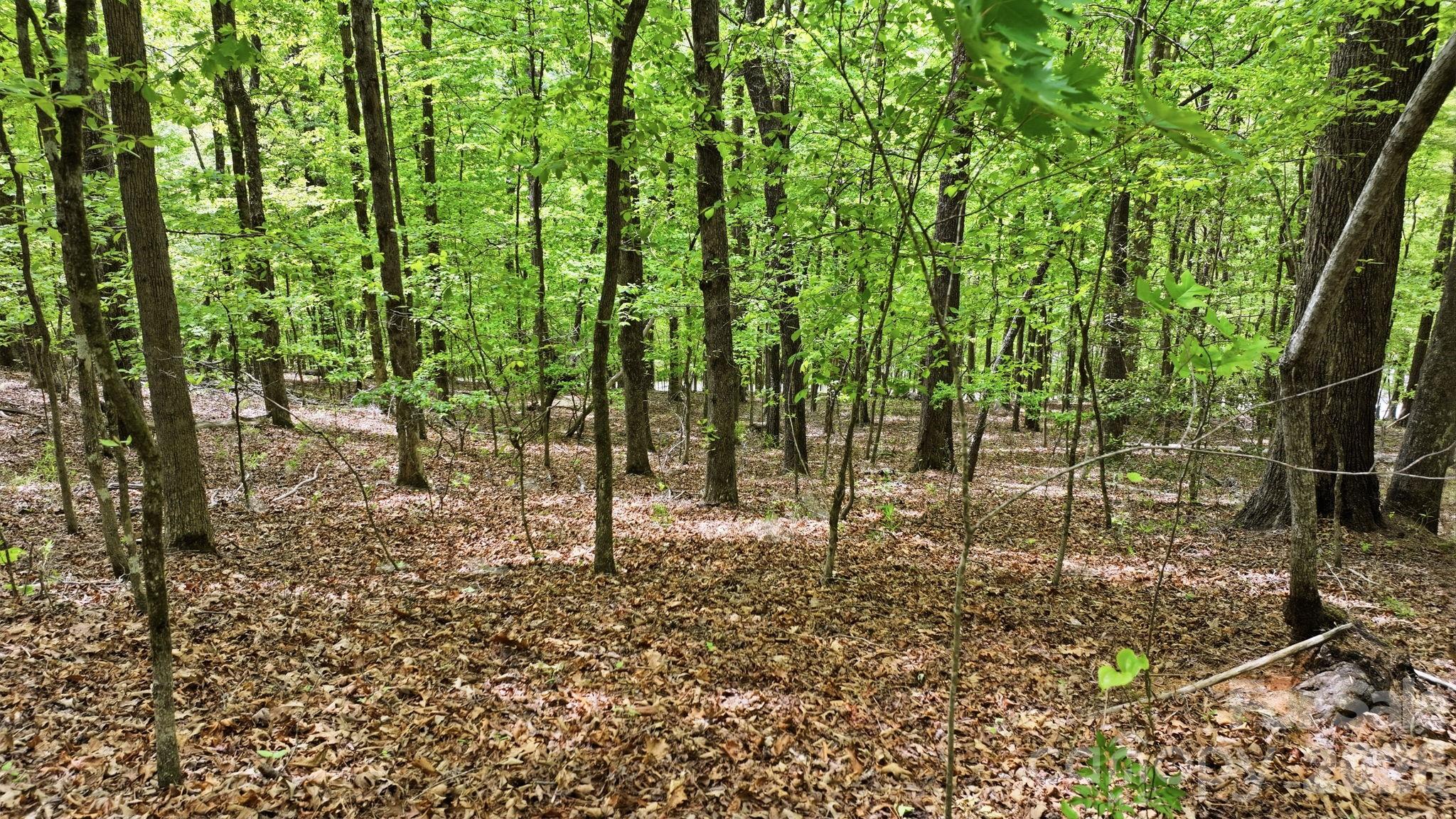 Fontana Lake Estates - Land