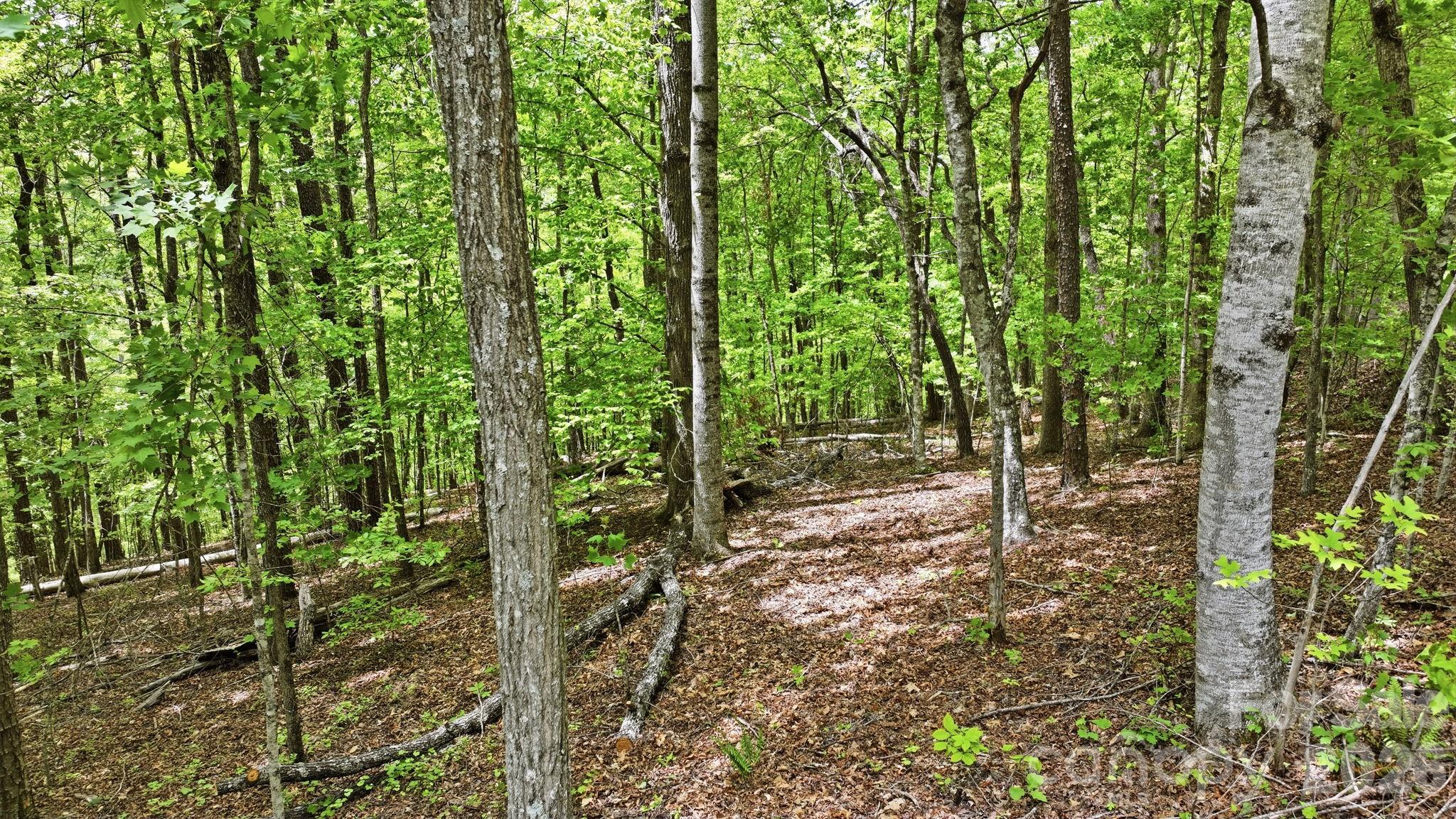 Fontana Lake Estates - Land