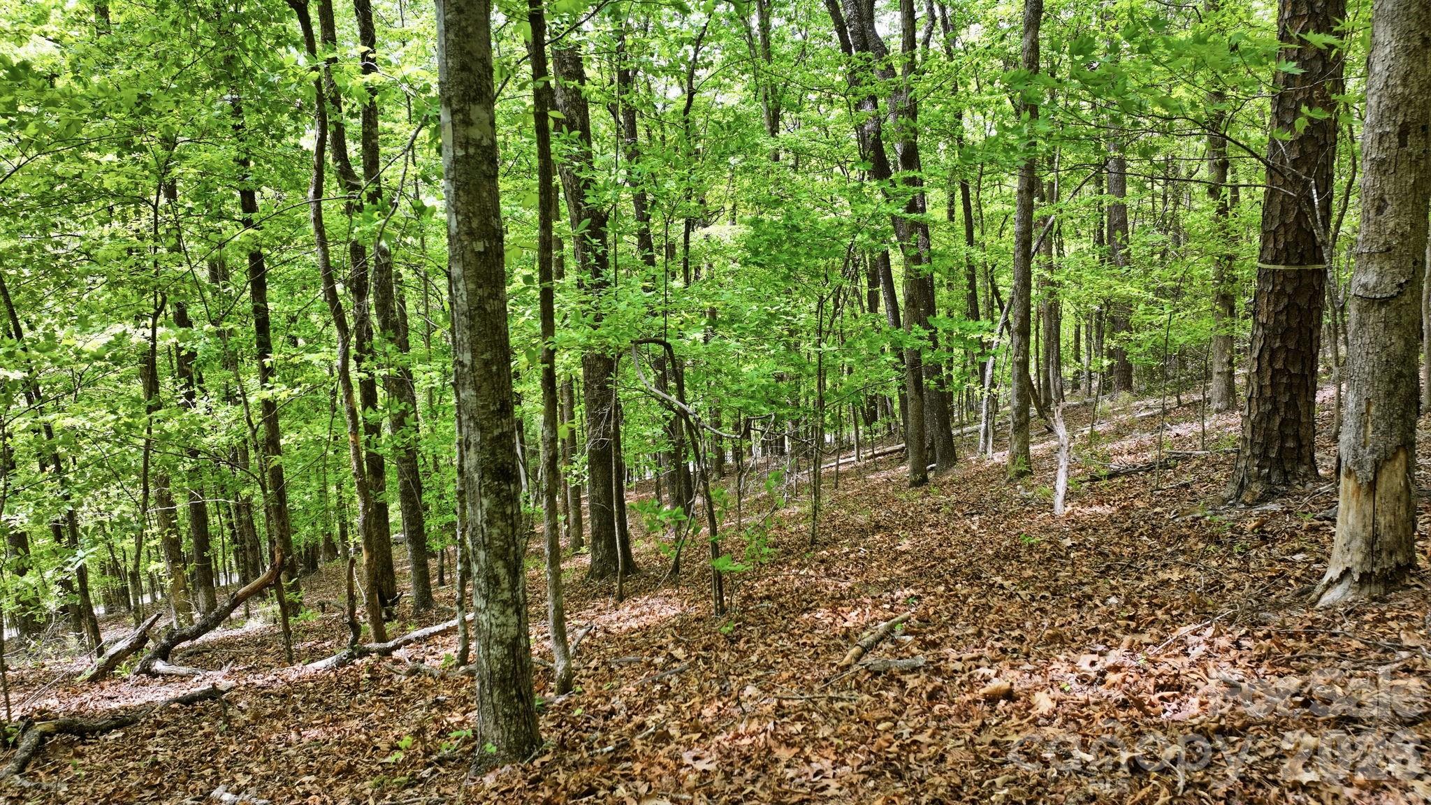 Fontana Lake Estates - Land