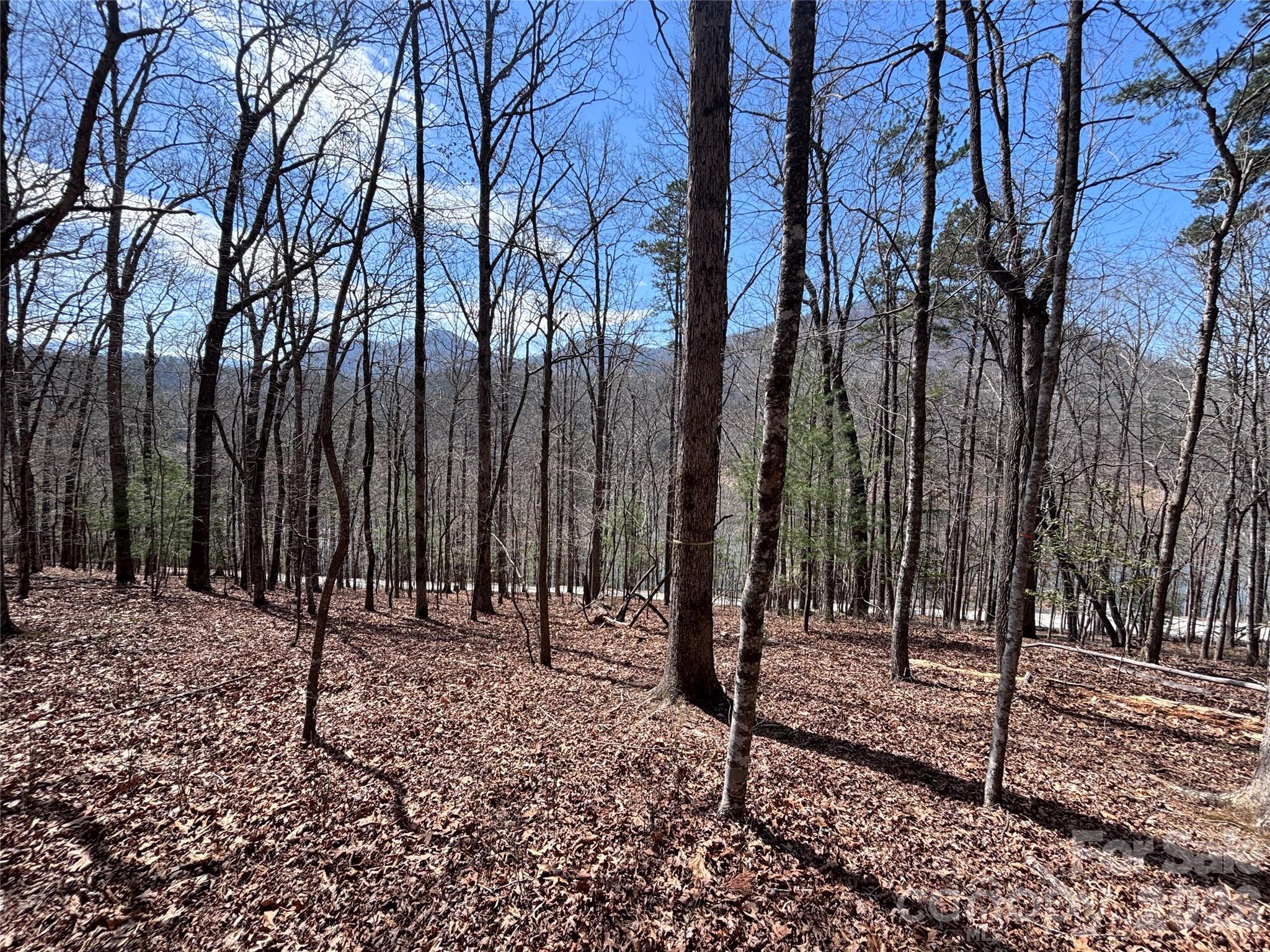 Fontana Lake Estates - Land