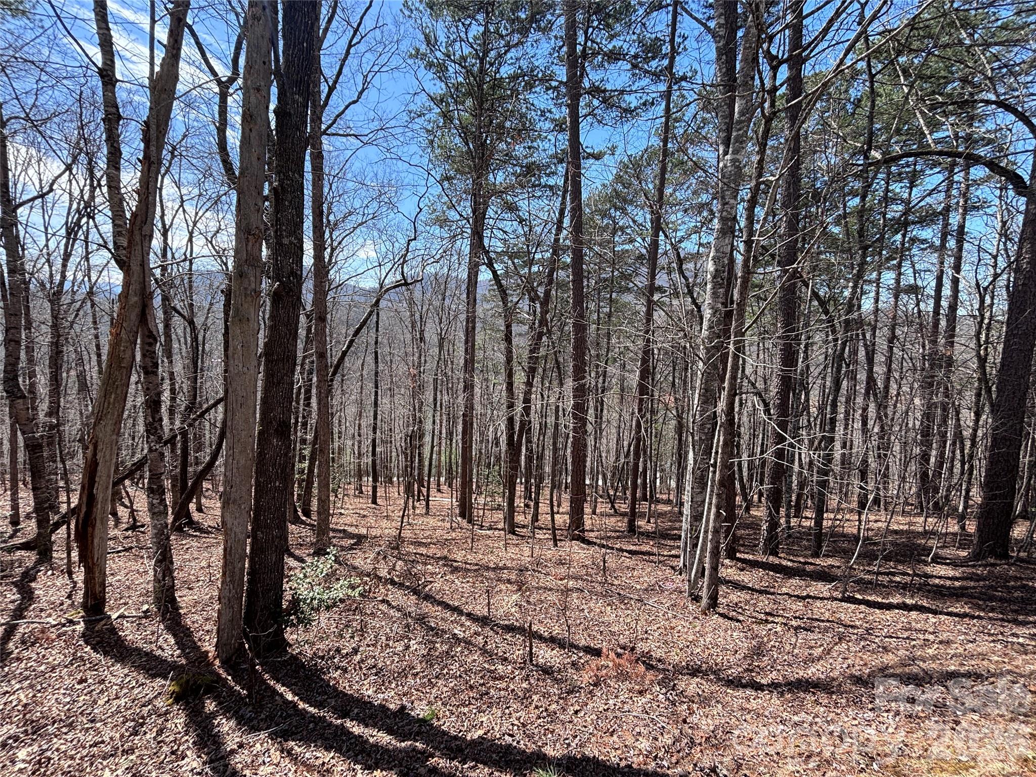 Fontana Lake Estates - Land
