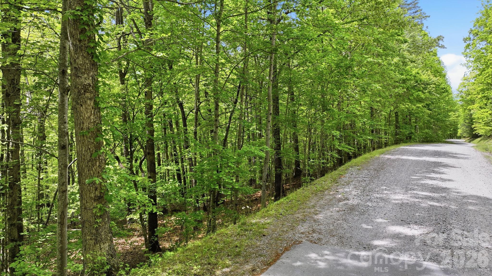Fontana Lake Estates - Land