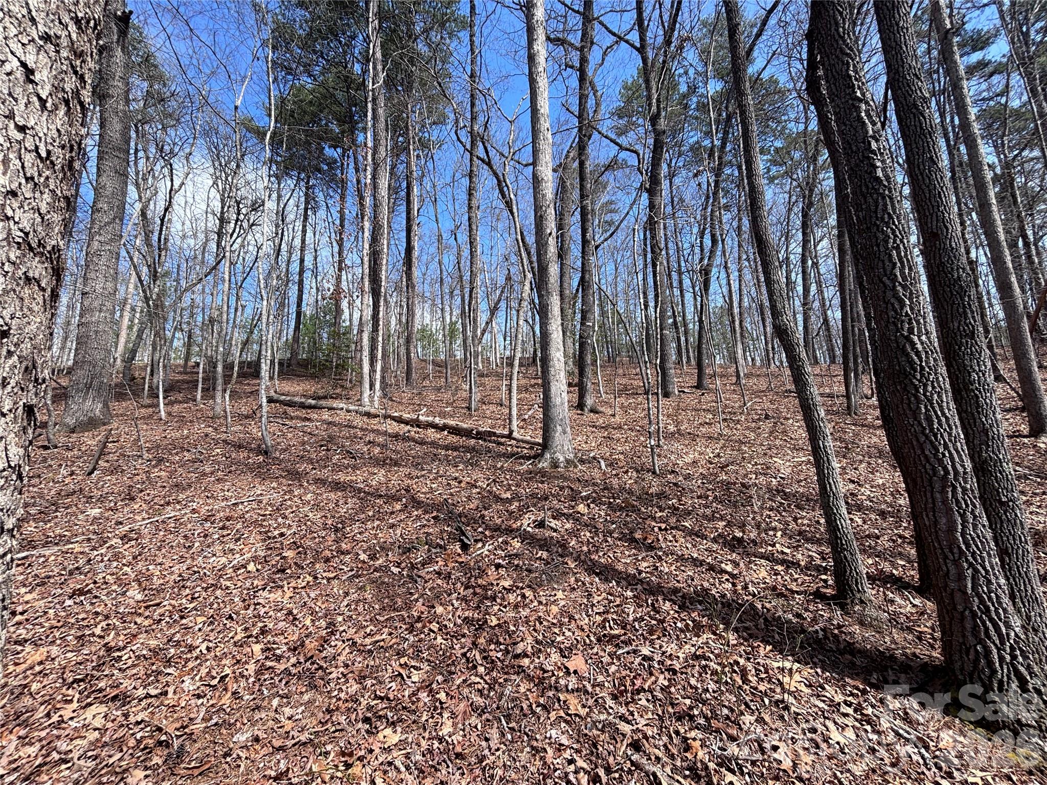 Fontana Lake Estates - Land