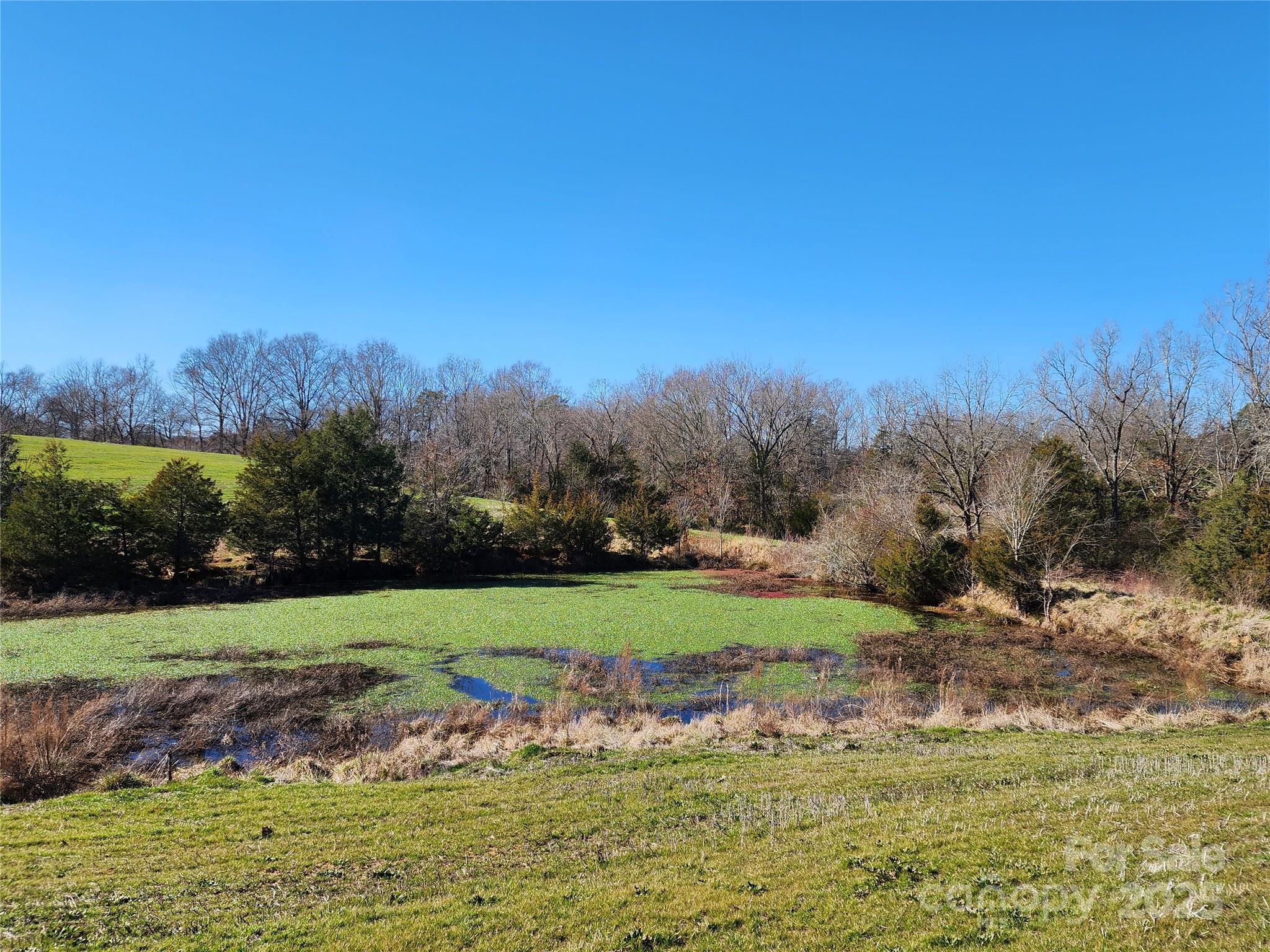 Flat Creek - Land