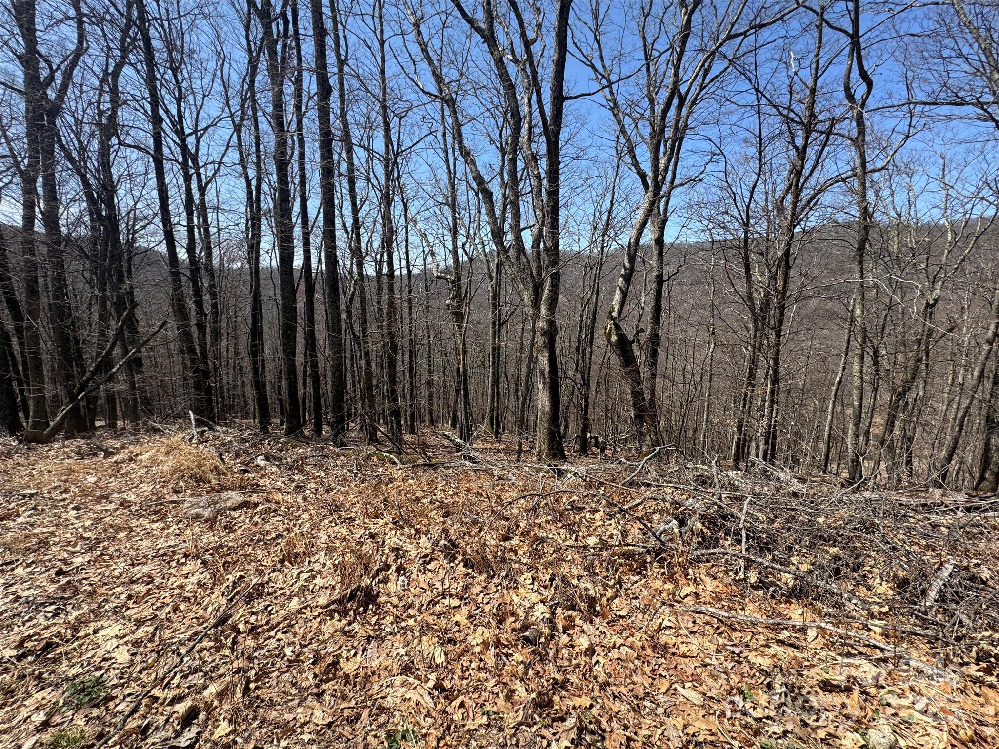 Three adjoining lots for a total of 2.51 acres. The lots offer possible extreme views to the SW with allowed tree trimming.  The neighborhood is exceedingly quiet and private, the price is amazing and set to sell.  There is a community water system in place, buyers will need individual septic.  Wolf Laurel boasts year round activities including, the new Hatley Pointe ski slopes, Wolf Laurel country club, and Village Club amenities.  Amenities are not included in HOA fees, and subject to separate, voluntary membership fees.  Non brokers must be accompanied for sec gate.