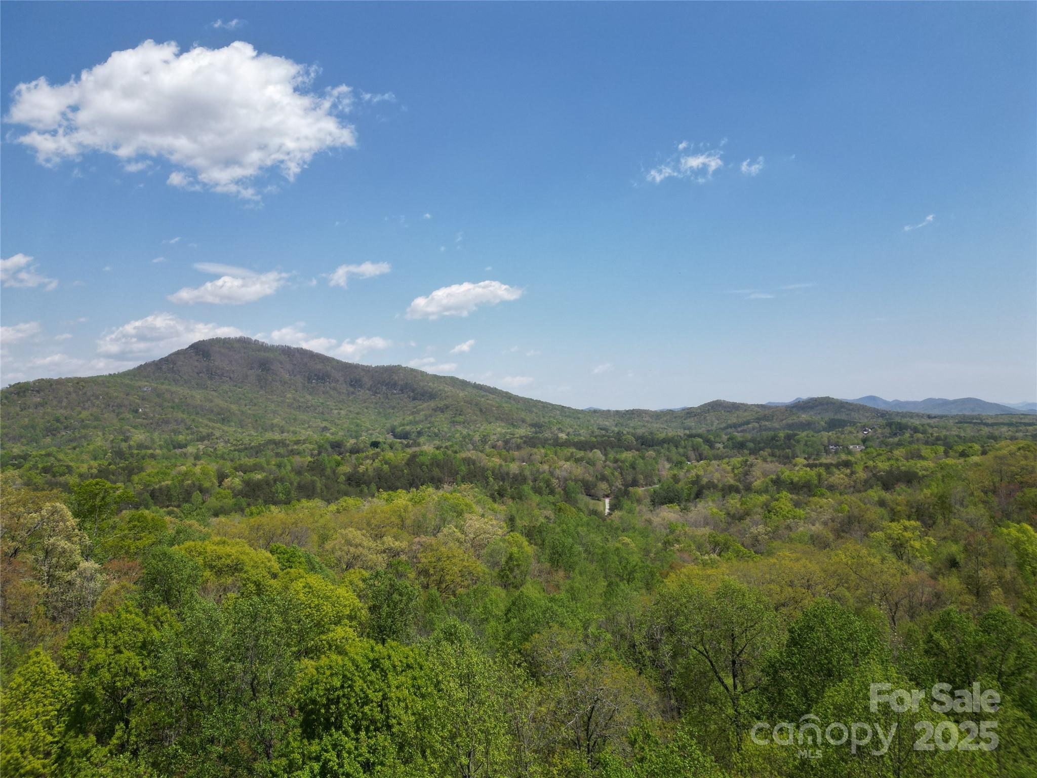 Rumbling Bald on Lake Lure - Land