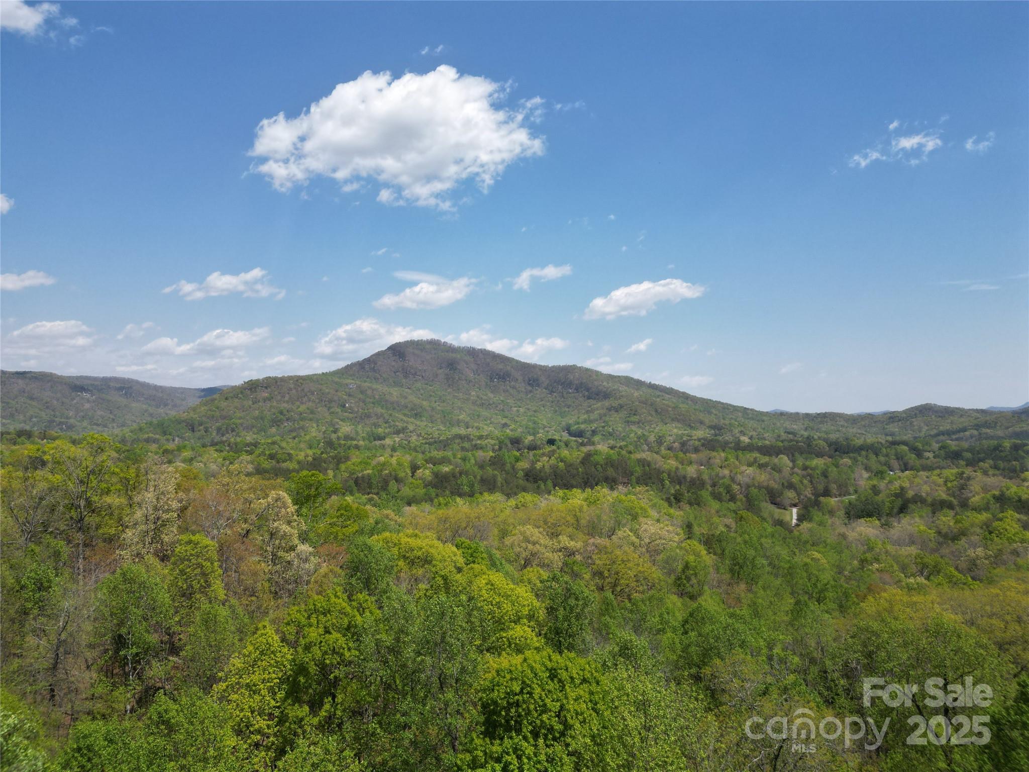 Rumbling Bald on Lake Lure - Land