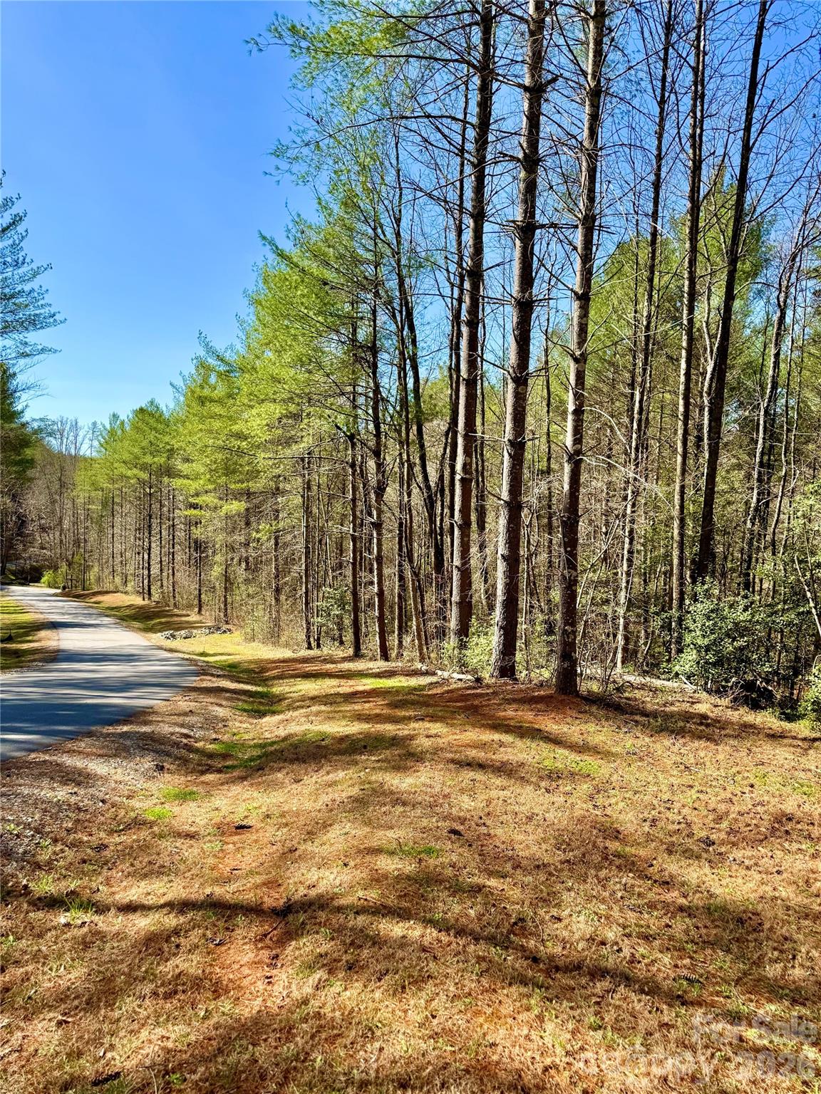 The Coves Mountain River Club - Land