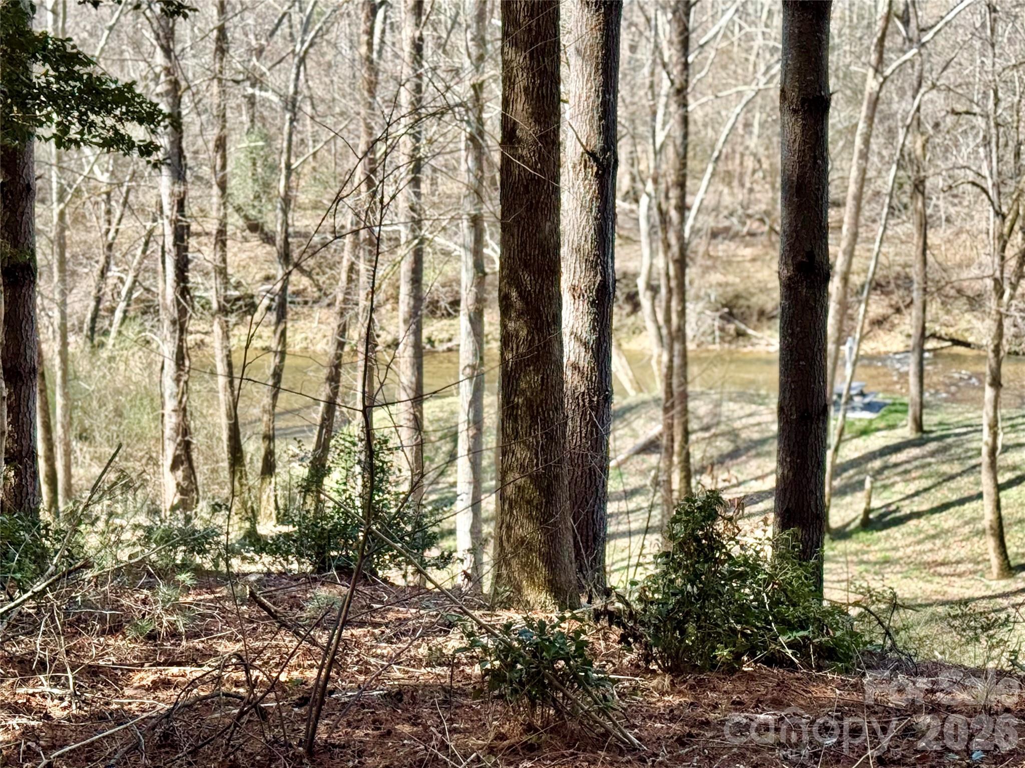 The Coves Mountain River Club - Land