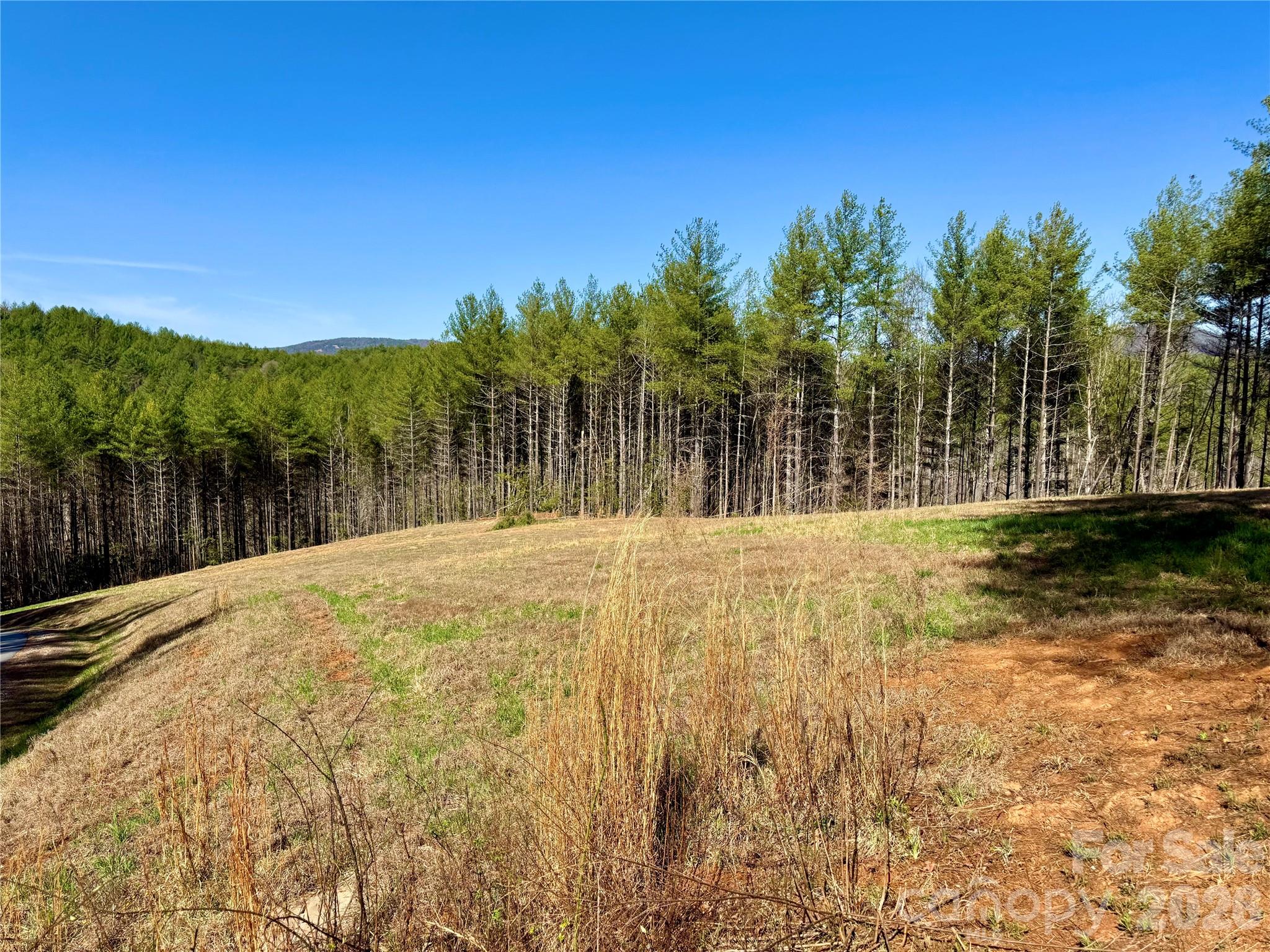 The Coves Mountain River Club - Land