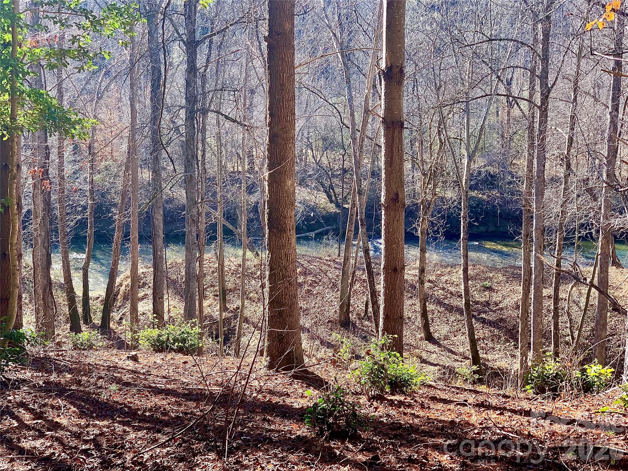 The Coves Mountain River Club - Land