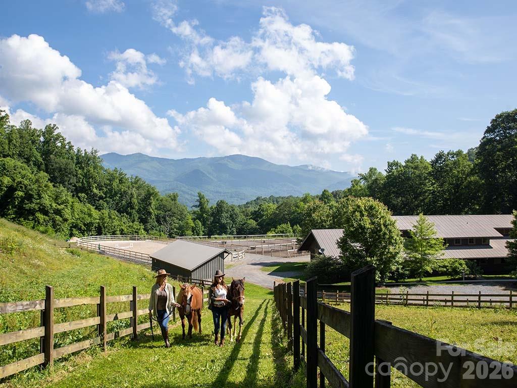 Balsam Mountain Preserve - Land