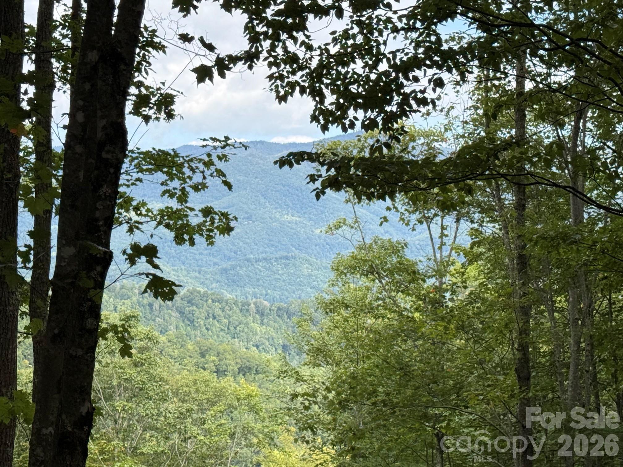 Balsam Mountain Preserve - Land