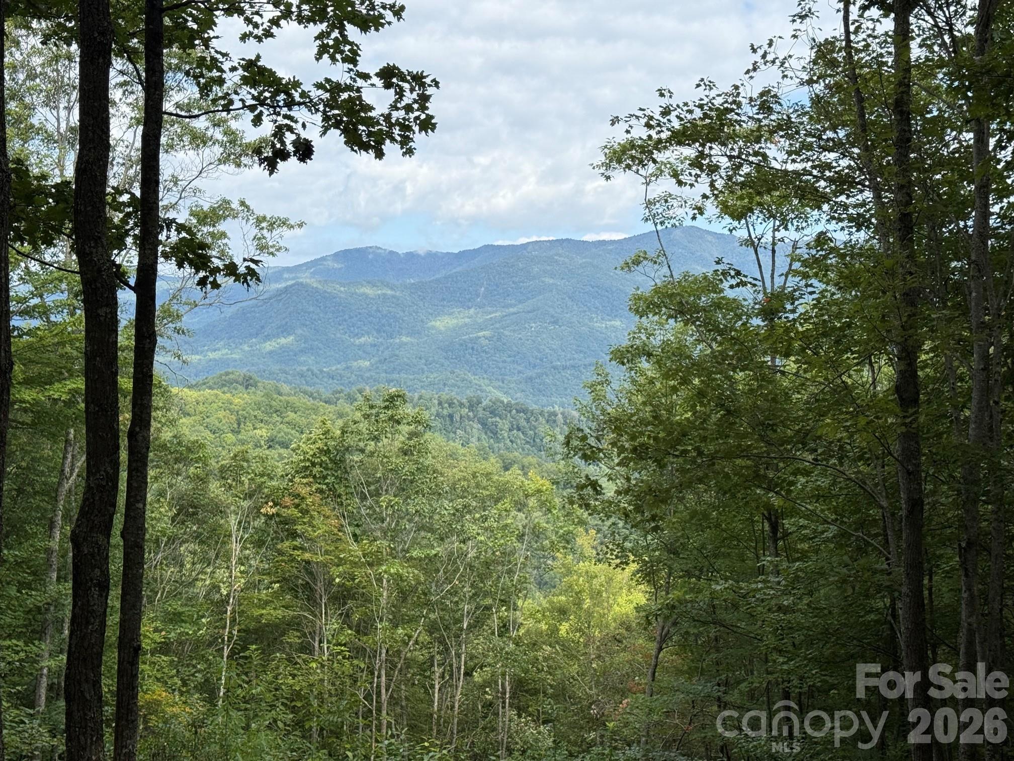 Balsam Mountain Preserve - Land
