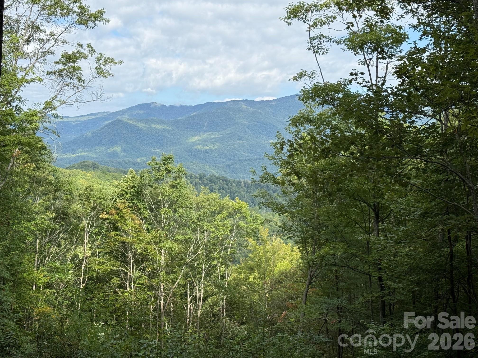 Balsam Mountain Preserve - Land