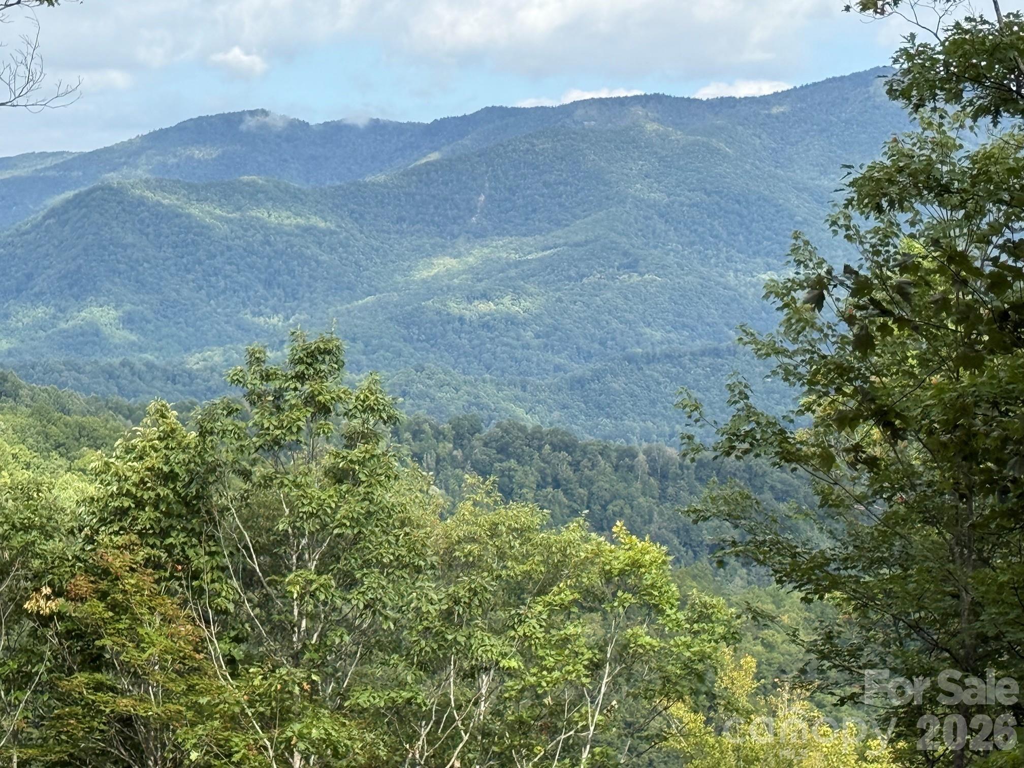 This homestead offers beautiful panoramic views from the Northwest to the Northeast and is close in proximity to Dark Ridge Camp and a Class 'A' North Carolina trout stream.  The topography would be perfect for a lower level walkout home and could also allow for a guest home.  The property borders conservation easement on 2 sides to provide great privacy.  Balsam Mountain Preserve is a private 4,400 acre club community with 3,200 acres of conservation land and completed amenities featuring golf, equestrian, scenic trails, tennis and dining.  The stunning new facilities at Doubletop Village, including the Summit House Restaurant and Mine Tavern, are now open to members and their guests.