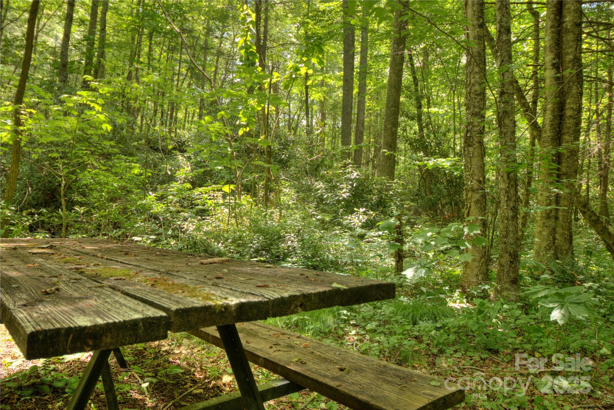 Mountain Brook Estates - Land