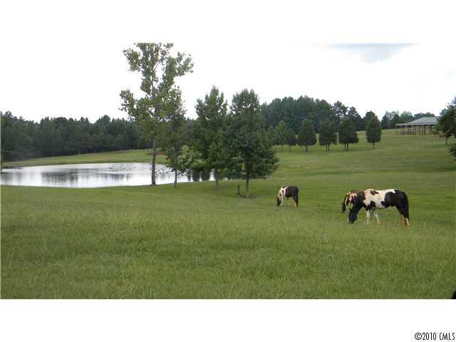 One of a kind. Spring fed pond with 60X80 Barn. All Pasture, partially fenced. joining tracts available