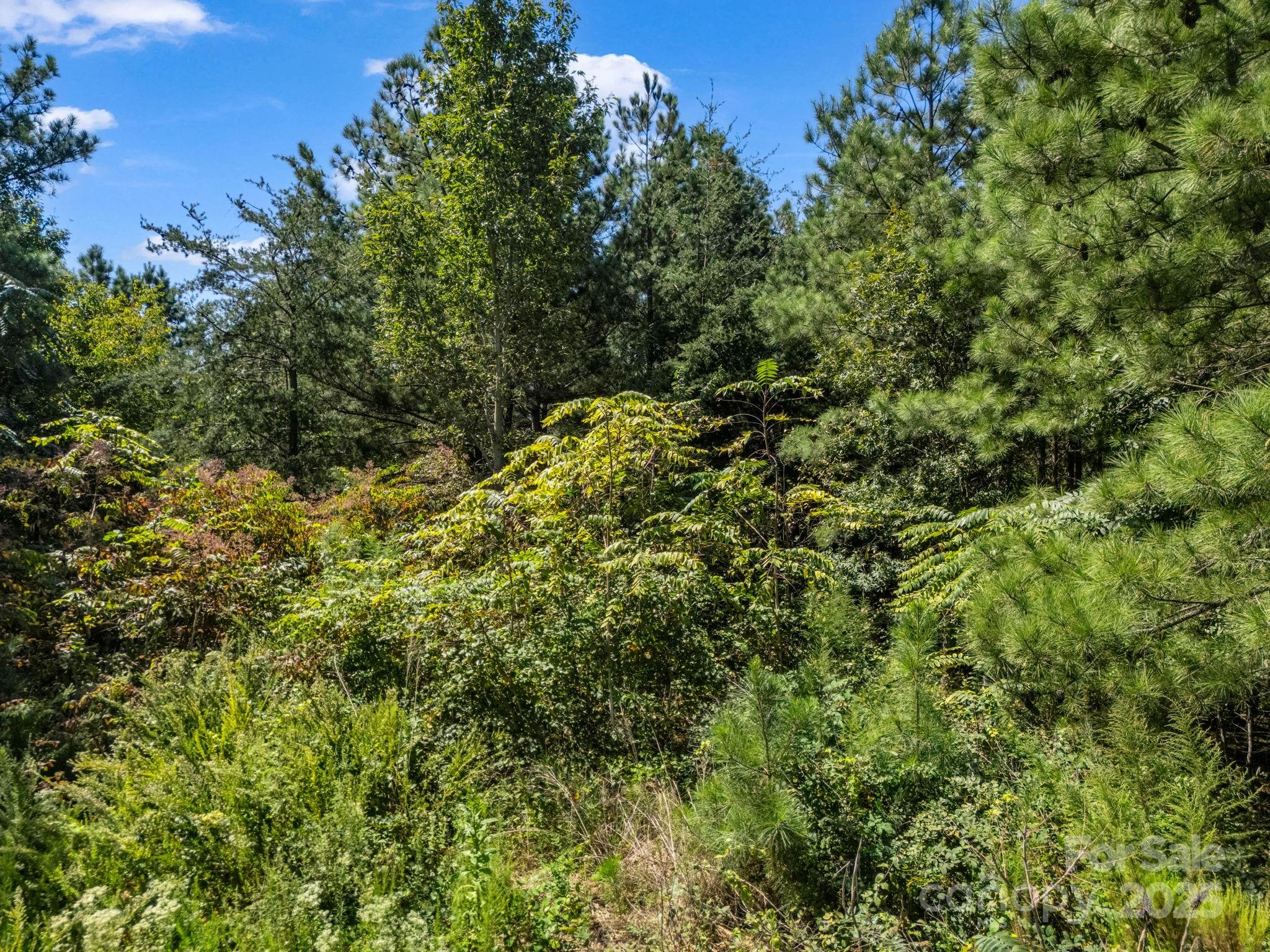 Moore Mountain Farms - Land