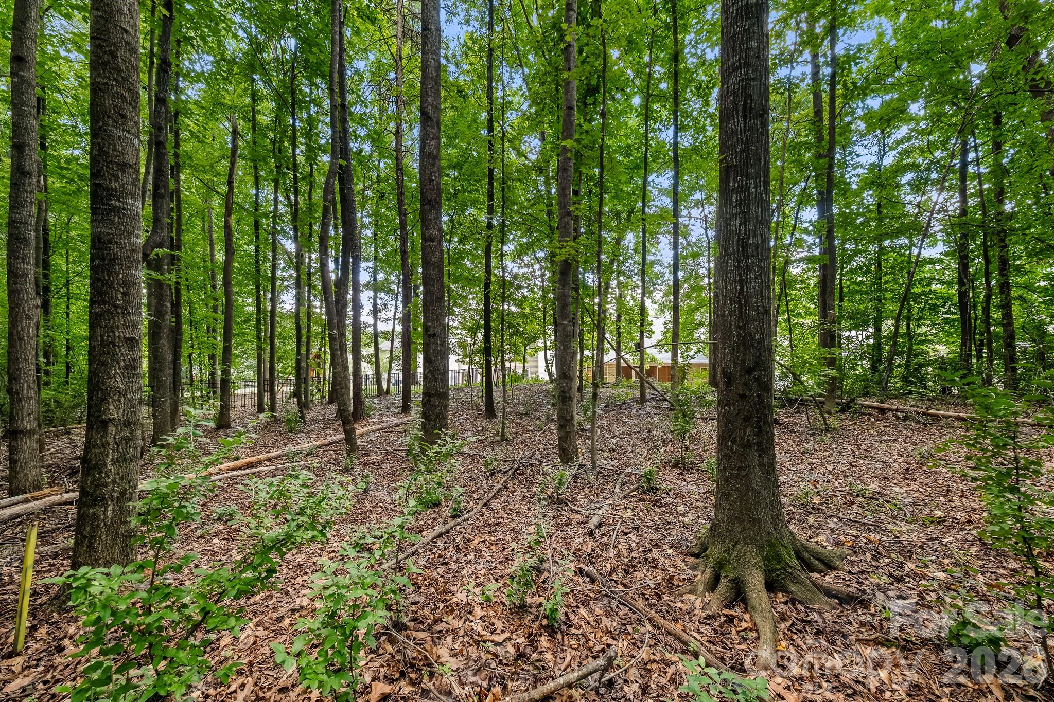 Legacy Park - Residential