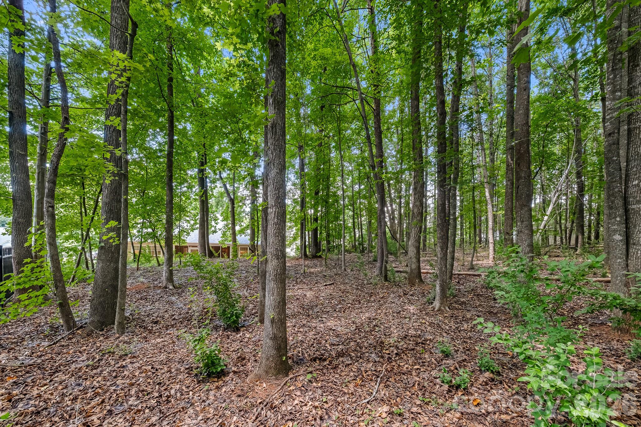 Legacy Park - Residential