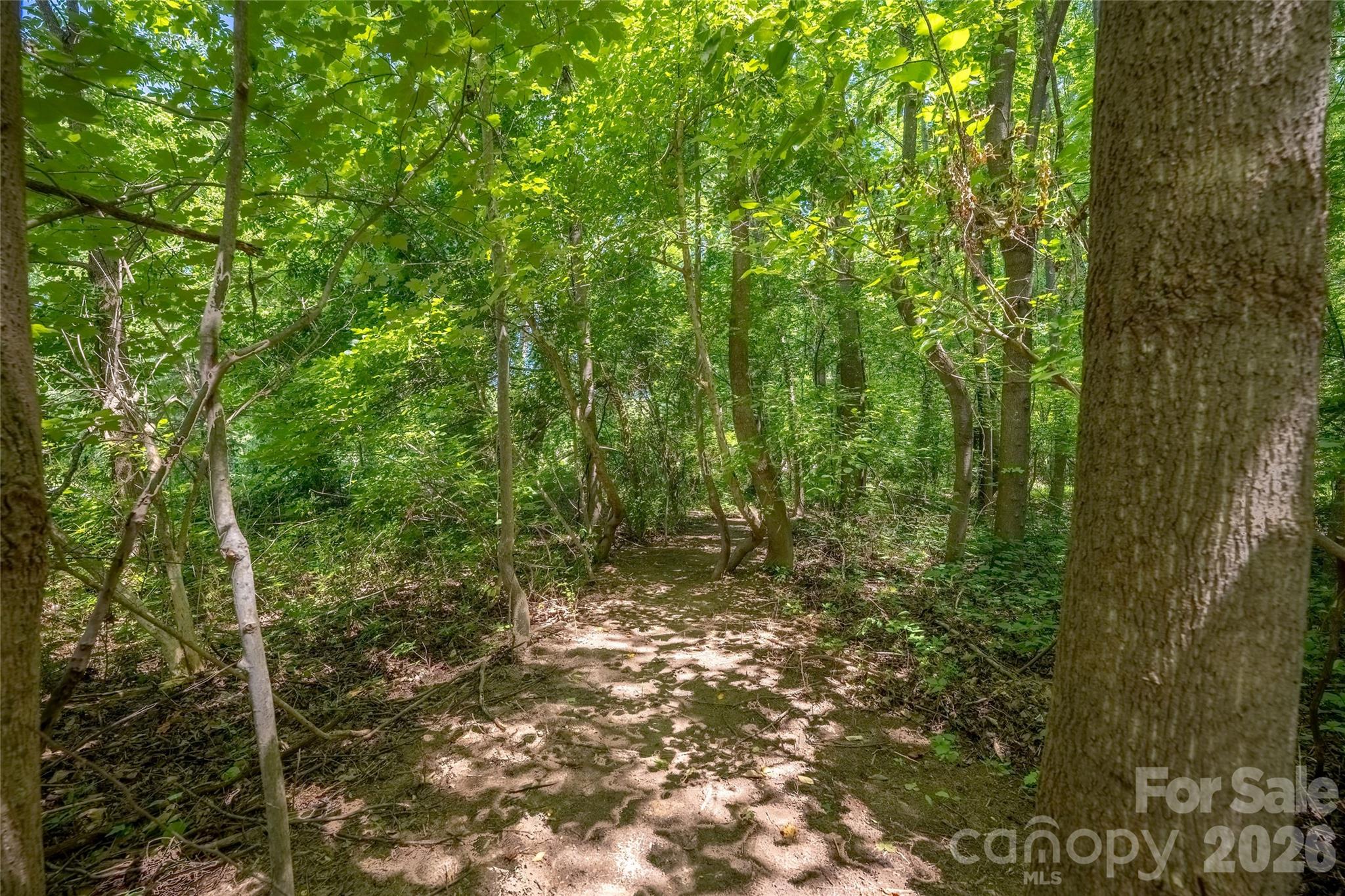 Coddle Creek - Residential