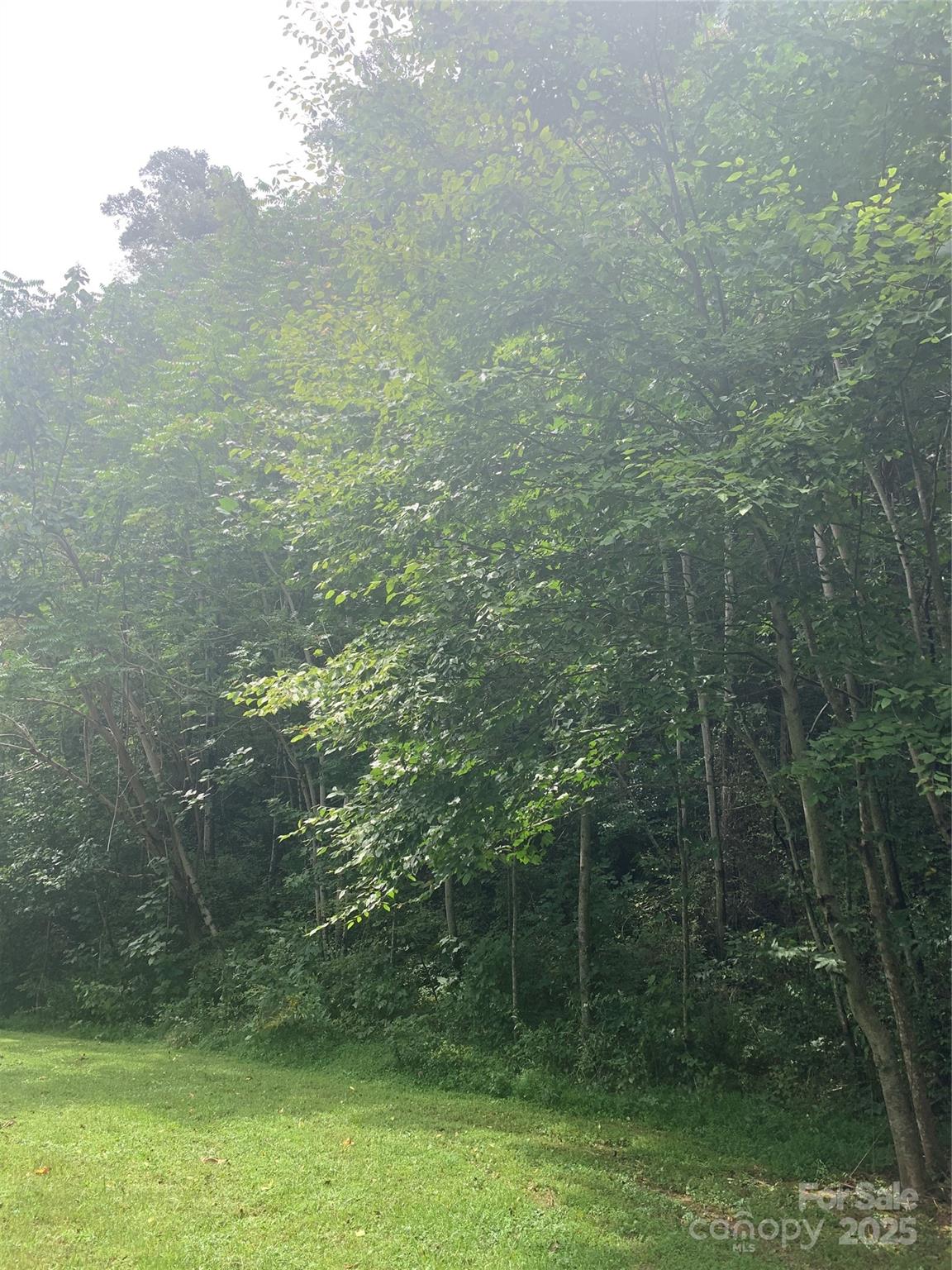Mountain views throughout this natural setting 16 lot subdivision.  Enjoy the sound of a waterfall which this lot abuts while owning a small portion at the base.  The majority of the waterfall is maintained and owned by Lot 6.  The lot has previously perked for a 3 bedroom septic however, it has expired.  Buyer will need to make application to Henderson County Environmental Dept. or a private Soil Scientist.  Only 20 min. drive back to downtown Hendersonville. Relax and enjoy nature and quietness away from the traffic.  This lot is also convenient to Chimney Rock & Lake Lure and many wineries.  Don't miss out on this lot it is Priced below tax value.  LA is related to seller.