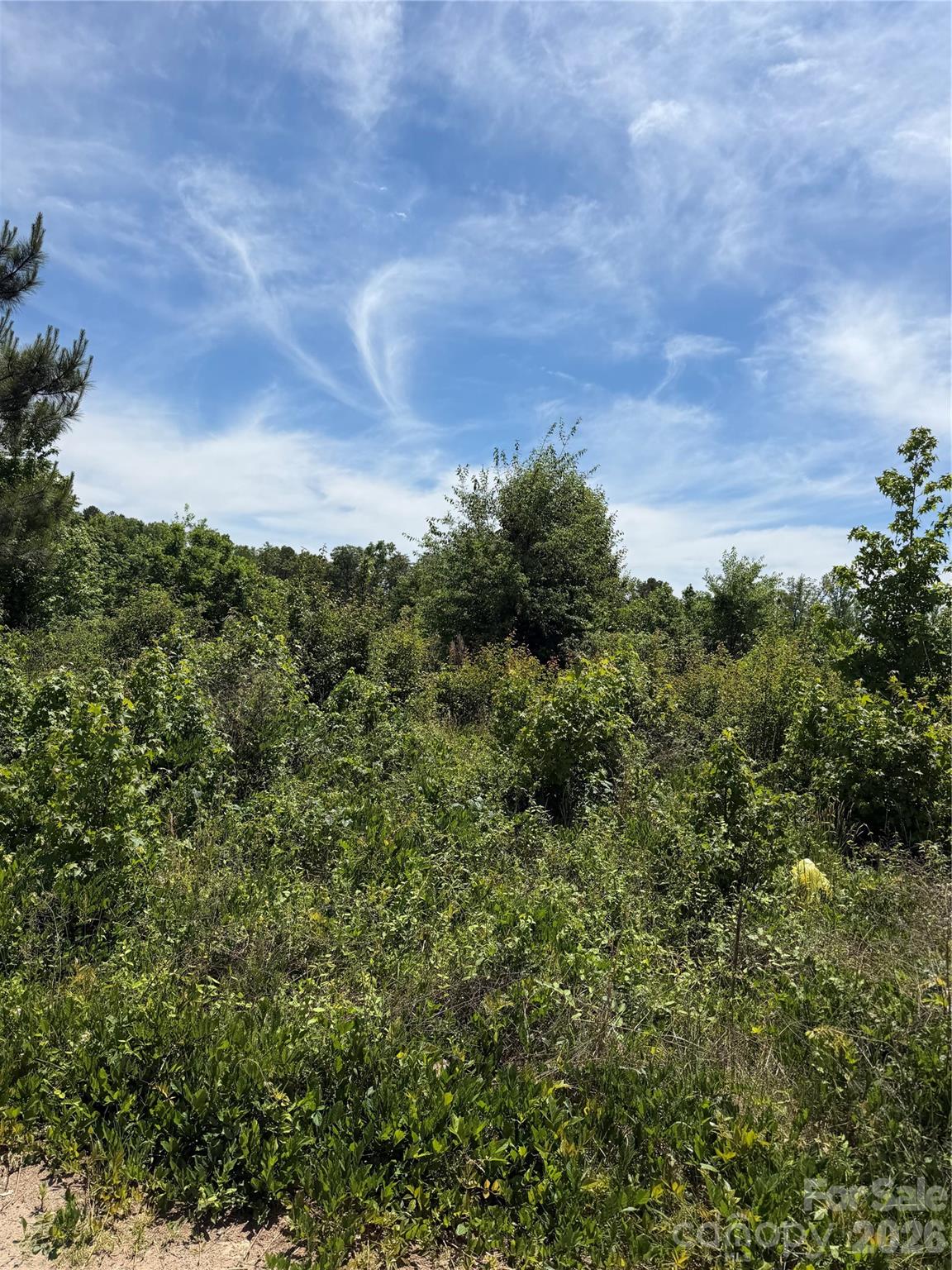 Perfect lot to place a doublewide on or build a new home.  Ideal for families or investors.  County water and a septic will need to be installed.  Perk test was made in January and found that the land did not perk.  Soil scientist needs consulted.