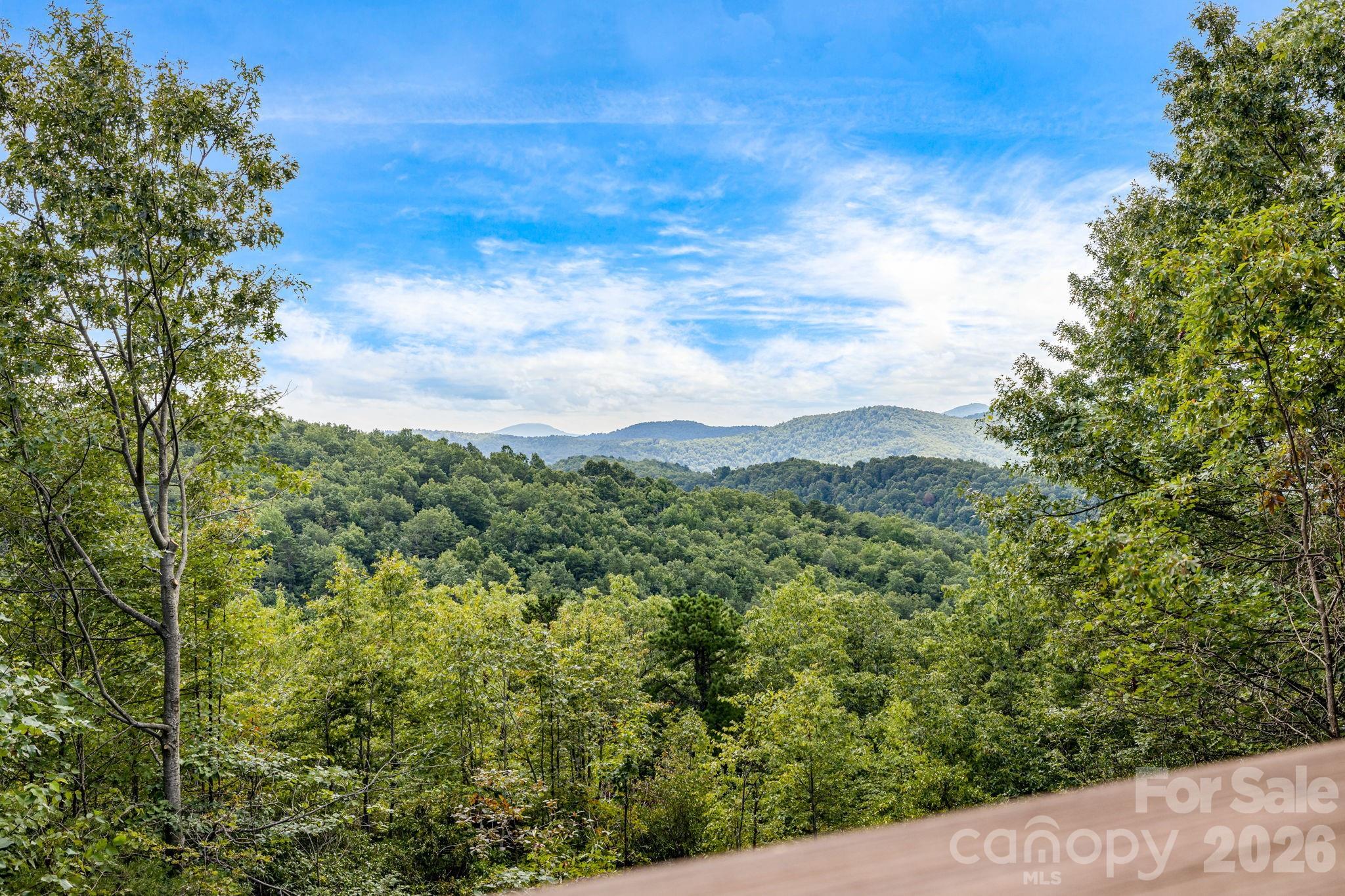 Recently remodeled private retreat on two lots encompassing approximately 14 acres in the beautiful High Rock Acres neighborhood, just 12 minutes from downtown Black Mountain. The main home offers one-level living with 3 bedrooms and 2.5 bathrooms, featuring a brand-new kitchen with all new appliances and new hardwood flooring throughout. The primary suite feels like a spa retreat, complete with an updated bathroom and its own private sitting area—perfect for quiet mornings or winding down at the end of the day. Expansive decks showcase stunning year-round mountain views and create the perfect setting for outdoor dining, entertaining, or simply relaxing. Behind the home, gardeners will love the flat garden space—an uncommon find with mountain views—featuring seasonal blooms, native and non-native plantings, and flowers that provide color three seasons of the year. The low-maintenance yard means more time to enjoy the private hiking trails, including a short walk to a waterfall on the additional 5 acre property. And when the sun goes down, the dark skies open up to incredible stargazing—you can see the Milky Way and countless shooting stars right from the deck. A detached 1-bedroom, 1-bath apartment above the double garage provides flexible space for guests, extended family, or rental income.